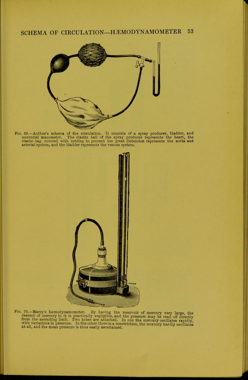 Fia. 69.—Author's schema of the circulation. It consists of a spray producer, bladder, and mercurial manometer. The elastic ball of the spray producer represents the heart, the elastic bag covered with netting to prevent too great distension represents the aorta and arterial system, and the bladder represents the venous system. Fio. 70.—Marey's hffiraodynamomoter. By having the reservoir of mercury very large, the descent of mercury in it is practically negligible, and the pressure may be read off directly from the ascending limb. Two tubes are attached. In one the mercury oscillates rapidly with variations in pressure. In the other there is a constriction, the mercury hardly oscillates at all, and the mean pressure is thus easily ascertained.