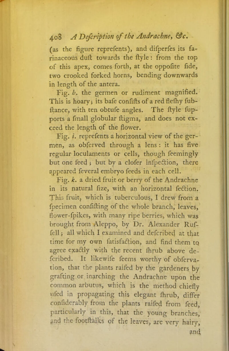 (as the figure reprefents), and difperfes its fa- rinaceous duft towards the ftyle: from the top of this apex, comes forth, at the oppofite fide, two crooked forked horns, bending downwards in length of the antera. Fig. h. the germen or rudiment magnified. This is hoary j its bafe confifts of a red flefhy fub- ftance, with ten obtufe angles. The ftyle fup- ports a fmall globular ftigma, and does not ex- ceed the length of the flower. Fig. i. reprefents a horizontal view of the ger- men, as obferved through a lens : it has five regular loculaments or cells, though feemingly but one feed ; but by a clofer infpeftion, there appeared feveral embryo feeds in each cell. Fig. k. a dried fruit or berry of the Andrachne in its natural fize, with an horizontal fedtion. This fruit, which is tuberculous, I drew from a fpecimen confifting of the whole branch, leaves, flower-fpikes, with many ripe berries, which was brought from Aleppo, by Dr. Alexander Ruf- fell; all which I examined and defcribed at that time for my own latisfadlion, and find them tQ agree exactly with the recent fhrub above de- fcribed. It likewife feems worthy of obferva- tion, that the plants raifed by the gardeners by grafting or inarching the Andrachne upon the common arbutus, which is the method chiefly ufed in propagating this elegant fhrub, differ c on fide r ably from the plants raifed from feed, particularly in this, that the young branches, 2nd tne iootftalks of the leaves, are very hairy, and