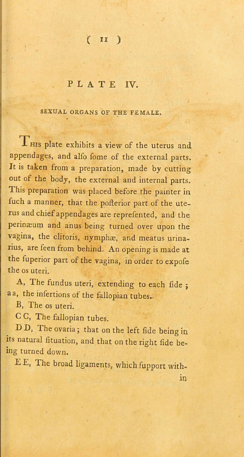 > . PLATE IV. SEXUAL ORGANS OF THE FEMALE. This plate exhibits a view of the uterus and appendages, and alfo fome of the external parts. It is taken from a preparation, made by cutting out of the body, the external and internal parts. This preparation was placed before the painter in fuch a manner, that the pofterior part of the ute- rus and chief appendages are reprefented, and the perinaeum and anus being turned over upon the vagina, the clitoris, nymphas, and meatus urina- rius, are feen from behind. An opening is made at the fuperior part of the vagina, in order to expofe the os uteri. A, The fundus uteri, extending to each fide j a a, the infertions of the fallopian tubes- .B, The os uteri. C C, The fallopian tubes. D D, The ovaria; that on the left fide being in its natural fituation, and that on the right fide be- ing turned down. E E, The broad ligaments, which fupport with- in