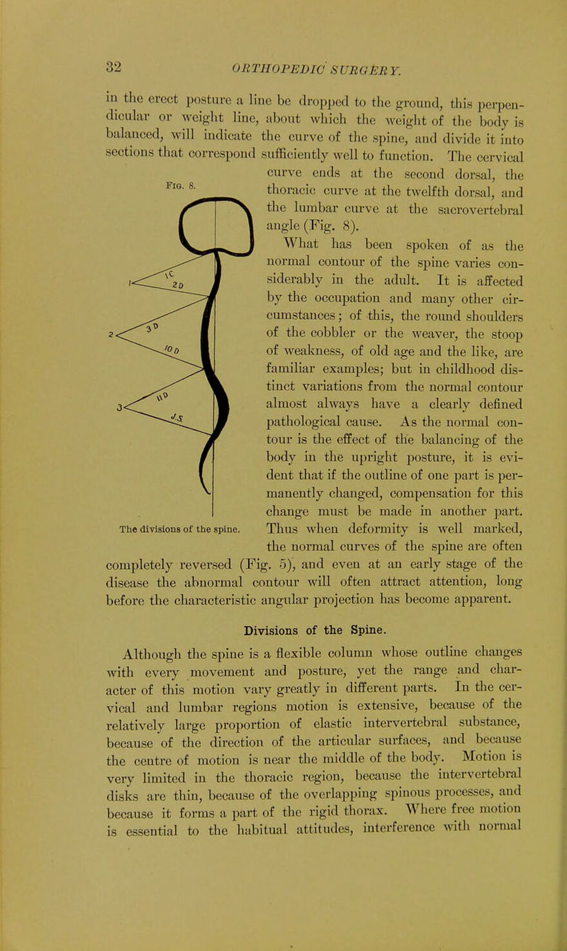 Fig. 8. in the erect posture a line be dropped to the ground, this perpen- dicular or weight line, about which the weight of the bn.lv is balanced, will indicate the curve of the spine, and divide it into sections that correspond sufficiently well to function. The cervical curve ends at the second dorsal, the thoracic curve at the twelfth dorsal, and the lumbar curve at the sacrovertebral angle (Fig. 8). What has been spoken of as the normal contour of the spine varies con- siderably in the adult. It is affected by the occupation and many other cir- cumstances ; of this, the round shoulders of the cobbler or the weaver, the stoop of weakness, of old age and the like, are familiar examples; but in childhood dis- tinct variations from the normal contour almost always have a clearly defined pathological cause. As the normal con- tour is the effect of the balancing of the body in the upright posture, it is evi- dent that if the outline of one part is per- manently changed, compensation for this change must be made in another part. the normal curves of the spine are often completely reversed (Fig. 5), and even at an early stage of the disease the abnormal contour will often attract attention, long before the characteristic angular projection has become apparent. Although the spine is a flexible column whose outline changes with every movement and posture, yet the range and char- acter of this motion vary greatly in different parts. In the cer- vical and lumbar regions motion is extensive, because of the relatively large proportion of elastic intervertebral substance, because of the direction of the articular surfaces, and because the centre of motion is near the middle of the body. Motion is very limited in the thoracic region, because the intervertebral disks are thin, because of the overlapping spinous processes, and because it forms a part of the rigid thorax. Where free motion is essential to the habitual attitudes, interference with normal