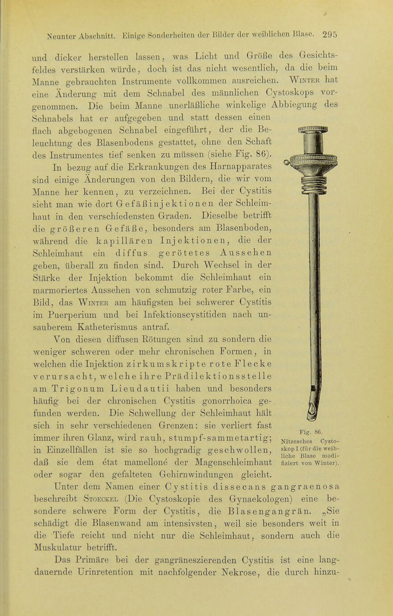 und dicker herstellen lassen, Avas Licht und Größe des Gesichts- feldes verstärken wüi-de, doch ist das nicht w^esentlich, da die beim Manne gebrauchten Instrumente vollkommen ausreichen. Winter hat eine Änderung mit dem Schnabel des männlichen Cystoskops vor- genommen. Die beim Manne unerläßliche winkelige Abbiegung des Schnabels hat er aufgegeben und statt dessen einen flach abgebogenen Schnabel eingeführt, der die Be- leuchtung des Blasenbodens gestattet, ohne den Schaft des Instrumentes tief senken zu müssen (siehe Fig. 86). In bezug auf die Erkrankungen des Harnapparates sind einige Änderungen von den Bildern, die wir vom Manne her kennen, zu verzeichnen. Bei der Cystitis sieht man wie dort Gefäßinjektionen der Schleim- haut in den verschiedensten Graden. Dieselbe betrifft die größeren Gefäße, besonders am Blasenboden, während die kapillären Injektionen, die der Schleimhaut ein diffus gerötetes Aussehen geben, überall zu finden sind. Durch Wechsel in der Stärke der Injektion bekommt die Schleimhaut ein marmoriertes Aussehen von schmutzig roter Farbe, ein Bild, das Winter am häufigsten bei schwerer Cystitis im Puerperium und bei Infektionscystitiden nach un- sauberem Katheterismus antraf. Von diesen diffusen Rötungen sind zu sondern die weniger schweren oder mehr chronischen Formen, in welchen die Injektion zirkumskripte rote Flecke verursacht, welche ihre Prädilektionsstelle am Trigonum Lieudautii haben und besonders häufig bei der chronischen Cystitis gonorrhoica ge- funden werden. Die Schwellung der Schleimhaut hält sich in sehr verschiedenen Grenzen: sie verliert fast immer ihren Glanz, wird rauh, stumpf-sammetartig; in Einzellfällen ist sie so hochgradig geschwollen, daß sie dem etat mamellone der Magenschleimhaut oder sogar den gefalteten Gehirnwindunffen gleicht. Fig. 86. Nitzesches Cysto- skop I (für die weib- liche Blase modi- fiziert von Winter). Unter dem Namen einer Cystitis dissecans gangraenosa beschreibt Stoeckel (Die Cystoskopie des Gynaekologen) eine be- sondere schwere Form der Cystitis, die Blasengangrän. „Sie schädigt die Blasenwand am intensivsten, weil sie besonders weit in die Tiefe reicht und nicht nur die Schleimhaut, sondern auch die Muskulatur betrifft. Das Primäre bei der gangräneszierenden Cystitis ist eine lang- dauernde Urinretention mit nachfolgender Nekrose, die durch hinzu-
