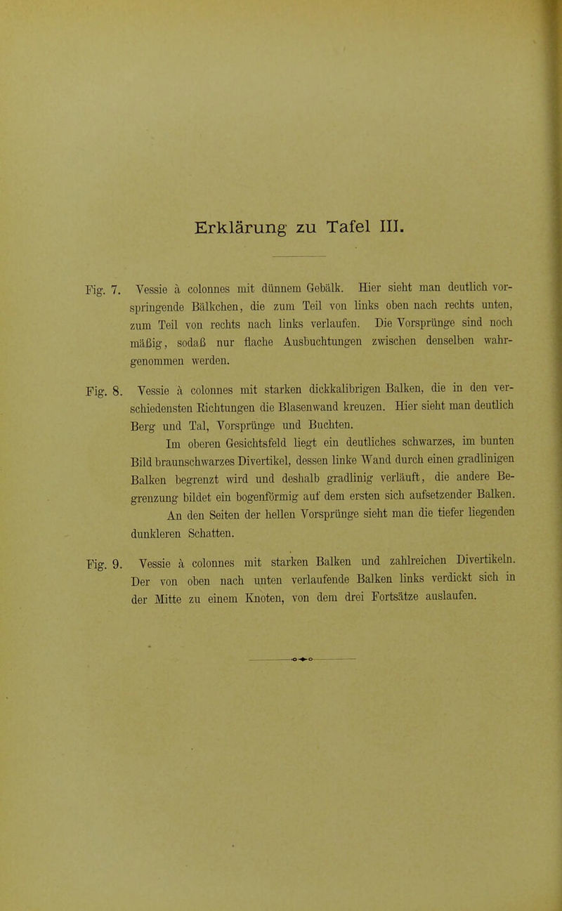 Fig. 7. Vessie ä colonnes mit dünnem Gebälk. Hier sieht man deutlich vor- springende Bälkchen, die zum Teil von links oben nach rechts unten, zum Teil von rechts nach links verlaufen. Die Vorsprünge sind noch mäßig, sodaß nur flache Ausbuchtungen zwischen denselben wahr- genommen werden. Fig. 8. Vessie k colonnes mit starken dickkalibrigen Balken, die in den ver- schiedensten Richtungen die Blasenwand kreuzen. Hier sieht man deutlich Berg und Tal, Vorsprünge und Buchten. Im oberen Gesichtsfeld liegt ein deutliches schwarzes, im bunten Bild braunschwarzes Divertikel, dessen linke Wand durch einen gradlinigen Balken begrenzt wird und deshalb gradlinig verläuft, die andere Be- grenzung bildet ein bogenförmig auf dem ersten sich aufsetzender Balken. An den Seiten der hellen Vorspränge sieht man die tiefer liegenden dunkleren Schatten. Fig. 9. Vessie ä colonnes mit starken Balken und zahlreichen Divertikeln. Der von oben nach unten verlaufende Balken links verdickt sich in der Mitte zu einem Knoten, von dem drei Fortsätze auslaufen.