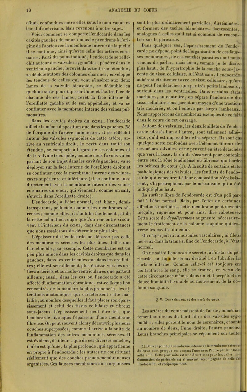 d'iiui, (îonfondues cnfrc elles sous le nom vague et banal d'anévrisme. Mais revenons à notre sujet. Voici comment se comporte l'endocarde dans les cavtés gauches du cœur : nous le prendrons à l'ori- gine de l'aorte avec la membrane interne de laquelle 11 se continue, ainsi qu'avec celle des artères coro- naires. Parti du point indiqué, l'endocarde se réflé- chit autour des valvules sygmoïdes , pénètre dans le ventricule gauche, le revêt dans toute son étendue, se déploie autour des colonnes charnues, enveloppe les tendons de celles qui vont s'insérer aux deux lames de la valvule bicuspide, se dédouble en quelque sorte pour tapisser l'une et l'autre face do chacune de ces lames, revêt la face interne de l'oreillette gauche et de son appendice, et va se continuer avec la membrane interne des veines pul- monaires. Dans les cavités droites du cœur, l'endocarde affecte la même disposition que dans les gauches. Né de l'origine de l'artère pulmonaire, il se réfléchit autour des valvules sygmoïdes de cette artère, ar- rive au ventricule droit, le revêt dans toute son étendue, se comporte à l'égard de ses colonnes et de la valvule tricuspide, comme nous l'avons vu en parlant de son trajet dans les cavités gauches, va se déployer sur la face interne de l'oreillette droite et se continuer avec la membrane interne des veines- caves supérieure et inférieure ( il se continue aussi directement avec la membrane interne des veines coronaires du cœur, qui viennent, comme on sait, s'ouvrir dans l'oreillette droite). L'endocarde, à l'état normal, est blanc, demi- transparent, pellucide comme les membranes sé- reuses; comme elles, il s'imbibe facilement, et de là cette coloration rouge que l'on rencontre si sou- vent à l'intérieur du cœur, daiis des circonstances que nous essaierons de déterminer plus loin. L'épaisseur de l'endocarde ne dépasse pas celle des membranes séreuses les plus fines, telles que l'arachnoïde, par exemple. Cette membrane est un peu plus mince dans les cavités droites que dans les gauches, dans les ventricules que dans les oreillet- tes ; elle est sensiblement plus épaisse vers les ori- fices artériels et auriculo-ventriculaires cpie partout ailleurs; aussi, dans les cas où l'endocarde a été affecté d'inflammation chronique, est-ce là que l'on rencontre, de la manière la plus prononcée, les al- térations anatomiques qui caractérisent cette ma- ladie , au nombre desquelles il faut placer son épais- sissement et celui des tissus cellulaire et fibreux sous-jacens. L'épaississement peut être tel, que l'endocarde ait acquis l'épaisseur d'une membrane fibreuse. On peut souvent alors y découvrir plusieurs couches superposées, comme il arrive à la suite de l'inflammation des autres membranes séreuses. Il est évident, d'ailleurs, que de ces diverses couches, il n'en est qu'une, la plus profonde, qui appartienne en propre à l'endocarde : les autres ne constituent réellement que des couches pseudo-membraneuses organisées. Ces fausses membranes ainsi organisées sont le plus ordinairement partielles, disséminées,. et forment des taches blanchâtres, lactescentes,, analogues à celles qu'il est si commun de rencon- trer sur le péricarde. Dans quelques cas, l'épaississement de l'endo-- carde ne dépend point de l'organisation de ces faus-- ses membranes, de ces couches parasites dont nous s venons de parler, mais bien, comme je le disaisi plus haut, de l'hypertrophie de la couclie sous-ja-- cente du tissu cellulaire. A l'état sain, l'endocardef adhères! étroitement avec ce tissu cellulaire, qu'ont ne peut l'en détacher que par très petits lambeaux,. surtout dans les ventricules. Dans certains états s morbides , au contraire, on sépare l'endocarde dua tissu cellulaire sous-jacent au moyen d'une traction» très modérée, et on l'enlève par larges lambeaux.. Nous rapporterons de nombreux exemples de ce faittll dans le cours de cet ouvrage-. Il Autour des valvules, les deux feuillets de l'endo-Jl carde adossés l'un à l'autre, sont tellement adhé—|l rens, qu'il est impossible de les séparer. Ils sont enJI quelque sorte confondus avec l'élément fibreux def|| ces mêmes valvules, et ne peuvent en être détachés JJ que vers la base, là où ils s'écartent pour contenirill entre eux la zone tendineuse ou fibreuse qui borded les orifices du cœur (1). A la suite de certains étatsd pathologiques des valvules, les feuillets de l'endo—■ carde qui concourent à leur composition s'épaissis—f sent, s'hypertrophient par le mécanisme qui a étéJ indiqué plus haut. La surface libre de l'endocarde est d'un poli par-f fait à l'état normal. Mais, par l'effet de certaine» aS'ections morbides, cette membrane peut devenirii inégale, rugueuse et pour ainsi dire raboteuse.- Cette sorte de dépolissement augmente nécessaire-- ment le frottement de la colonne sanguine qui tra- verse les cavités du cœur. On n'aperçoit ni ramuscules vasculaires, ni filets ? nerveux dans la trame si fine de l'endocarde, à l'état t normal. On ne sait si l'endocarde sécrète, à l'instar du pé-: ricarde, un liquide séreux destiné à en lubrifier la* surface interne. Comme celle-ci est toujours ea contact avec le sang, elle se trouve, en vertu de cette circonstance même, dans un état perpétuel de douce humidité favorable au mouvement de la co- lonne sanguine. § V. Di'S vaisseaux et des nerfs du cœur. Les artères du cœur naissent de l'aorte, immédia- tement au dessus du bord libre des valvules syg- moïdes ; elles portent le nom de coronaires, et sont au nombre de deux, l'une droite, Tatitre gauche. Leurs branches principales se répandent sur toutes jl). Dans ce point, ta membrane interne et lo membrane externe du cœur «ont presque en contact l'une a»oc l'autre par leur face ndbérenle. Celle proximité est une de» raisons pour lesqucllci l'iin llammation du péricarde est si aouTcnt acconipagnéo de celle de l'endocarde, cl réciproquement. 1