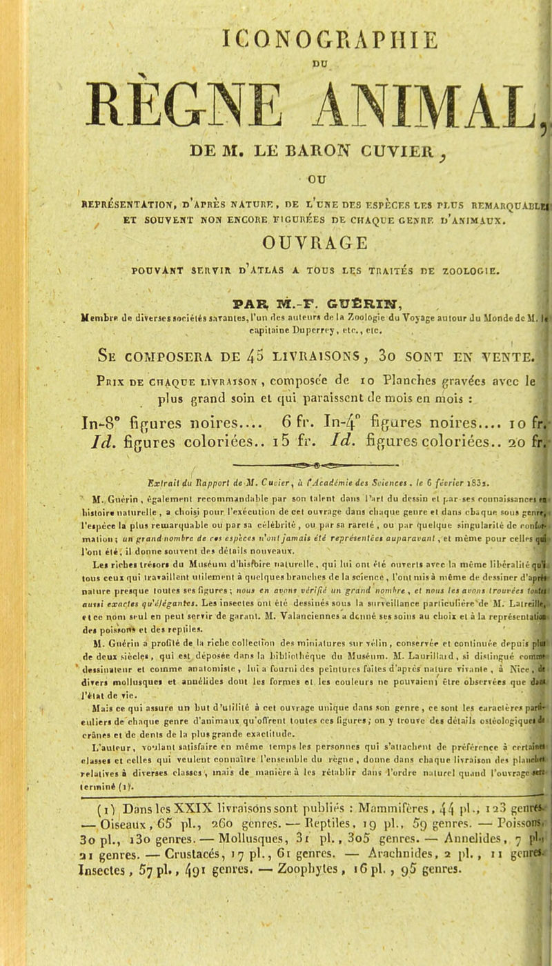 ICONOGRAPHIE DU DE M. LE BARON CUVIER , ou REPRESENTATION, d'APRES NATURE , DE l'une DES ESPECES LES rLUS REMARQUABLES ET SOUVENT NON ENCORE FIGUREES DE CHAQUE GENRE D'ANIMAUX. OUVRAGE POUVANT SERVIR D'ATLAS A TOUS LES TRAITES DE ZOOLOGIE. PAR, M. F. CUÊRIN, Membre de diverses sociétés savantes, l'un des auteur» de la Zoologie du Voyage amour du Monde de U. capitaine Duperrey, etc., etc. Se composera, de 45 livraisons, 3o sont en vente. Prix de chaque livraison, composée de 10 Planches gravées avec le plus grand soin et qui paraissent de mois en mois : In-8° figures noires— 6 fr. In-4° figures noires.... 10 fr« là. figures coloriées.. i5 fr. Id. figures coloriées.. 20 fil Extrait du Rapport de M. Cuuier % à f Académie des Sciences. te 6 février iS3s. M. Guérin , également rccommandable par son talent dans l'art du dessin et r.ar ses connaissances en histoir* naturelle , a choisi pour l'exécution de cet outrage dans chaque genre et dans chaque sons genre; l'eipèce la plus remarquable ou par sa célébrité , ou par sa rareté , ou par quelque singularité de ron&kfl ma lion i on grand nombre de ces espèces n'ont jamais été représentées auparavant , et même pour celles qtri l'ont été, il donne souvent des détails nouveaux. Le! riches trésors du Muséum d'histoire naturelle, qui lui ont été ouverts avec la même libéraliiéqDï tous ceui qui travaillent utilement à quelques branches de la science , l'ont mis à même de dessiner d'après nature presque toutes ses figures; nous en avons vérifié un grand nombre, et nous tes avons trouvées loJÊM aussi exactes qu'élégantes. Les insectes ont été dessinés sous la surveillance particulière de M. Latreille, » I ce nom seul en peut servir de garant. M. Vaianciennes a donné ses soins au choix et à la représentatif' des poisson» et des reptiles. M. Gnérin a profité de la riche collection des miniatures sur vélin , conservée et continuée depuis plui de deux siècles, qui est déposée dans la bibliothèque du Muséum. M. Laurillaid, si distingué roirîH dessinateur et comme anatomisle , lui a fourni des peintures faites d'après nature vi\.mle , à Nice , & divers mollusques et anuélides dont les formes et les couleurs ne pouvaient être obstrues que dsa> l'état de vie. Mais ce qui assure un but d'utilité à cet ouvrage unique dans son genre , ce sont les caractères parti- culiers dechaque genre d'animaux qu'offrent toutes ces ligures; on y trouve des détails ostéolngiquelis crânes et de dents de la plus grande exactitude. L'auteur, -vo'jlanl satisfaire en même temps les personnes qui s'attachent de préférence à certaine! classes et celles qui veulent connaître l'ensemble du règne, donne dans chaque livraison des pl.melm relatives à diverses classes, mais de manière ù les rétablir dans l'ordre naturel quand l'ouvrage*» lerininé (11. (i) Dans les XXIX livraisônssont publiés : Mammifères, 44 pl.» I2-> genrty — Oiseaux , 65 pl., 260 genres. — Reptiles, ig pl., 59 genres. —Poissons. 3o pl., i3o genres. — Mollusques, 3i pl., 3o5 genres.— Annelides, 7 pW 11 genres. — Crustacés, 17 pl., 61 genres. — Arachnides, 2 pl. , 11 genre* Insectes, £7 pl., 49' genres. — Zoopliytes, 16 pl. , 9$ genres.