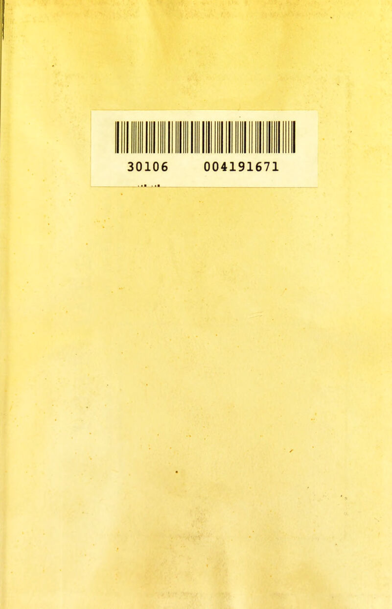 30106 004191671
