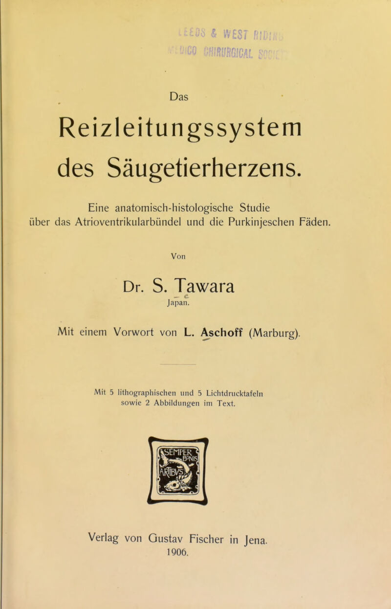 ö & WEST P!r' ^0 mimwM Das Reizleitungssystem des Säugetierherzens. Eine anatomisch-histologische Studie über das Atrioventrikularbündel und die Purkinjeschen Fäden. Von Dr. S. Tawara Japan. Mit einem Vorwort von L. Aschoff (Marburg). Mit 5 lithographischen und 5 Lichtdrucktafeln sowie 2 Abbildungen im Text. Verlag von Gustav Fischer in Jena. 1906.