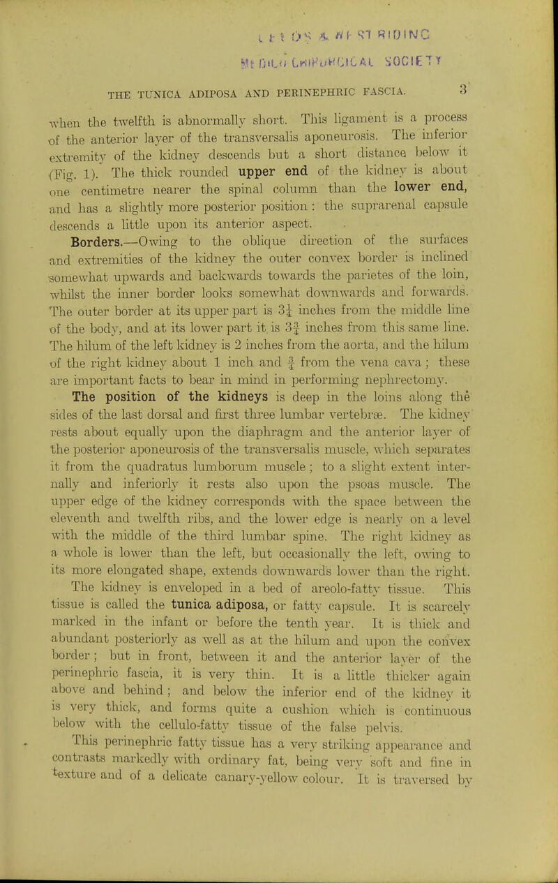THE TUNICA ADIPOSA AND PERINEPHRIC FASCIA. 3 when the twelfth is abnormally short. This ligament is a process of the anterior layer of the transversalis aponeurosis. The inferior extremity of the kidney descends but a short distance below it fFig. 1).^ The thick rounded upper end of the kidney is about one centimetre nearer the spinal colunm than the lower end, and has a slightly more posterior position : the suprarenal capsule descends a little upon its anterior aspect. Borders.—Owing to the oblique direction of the surfaces and extremities of the kidney the outer convex border is inclined ■somewhat upwards and backwards towards the parietes of the loin, whilst the inner border looks somewhat downwards and forwards. The outer border at its upper part is 3^^ inches from the middle line of the body, and at its lower part it is 3 J inches from this same line. The hilum of the left kidney is 2 inches from the aorta, and the hiKun of the right kichiey about 1 inch and f from the vena cava; these are important facts to bear in mind in performing nephrectomj^ The position of the kidneys is deep in the loins along the sides of the last dorsal and first three lumbar vertebrae. The kidney rests about equally upon the diaphragm and the anterior layer of the posterior aponeurosis of the transversalis muscle, Avhich separates it fi-om the quadratus lumboruni muscle; to a slight extent mter- nally and inferiorly it rests also upon the psoas muscle. The upper edge of the kidney corresponds with the space between the ■eleventh and twelfth ribs, and the lower edge is nearly on a level with the middle of the third lumbar spine. The right kidney as a whole is lower than the left, but occasionally the left, owing to its more elongated shape, extends downwards lower than the I'ight. The kidney is enveloped in a bed of areolo-fatty tissue. This tissue is called the tunica adiposa, or fatty capsule. It is scarcely marked in the infant or before the tenth year. It is thick and abundant posteriorly as well as at the hilum and upon the convex border; but in front, between it and the anterior layer of the perinephric fascia, it is very thin. It is a little thicker again above and behind; and below the inferior end of the kidney it IS very thick, and forms quite a cushion Mdiich is continuous below with the cellulo-fatty tissue of the false peh'is. This perinephric fatt}^ tissue has a ver.y striking appearance and contrasts markedly with ordinary fat, being very soft and fine in texture and of a delicate canary-yellow colour-. It is traversed by