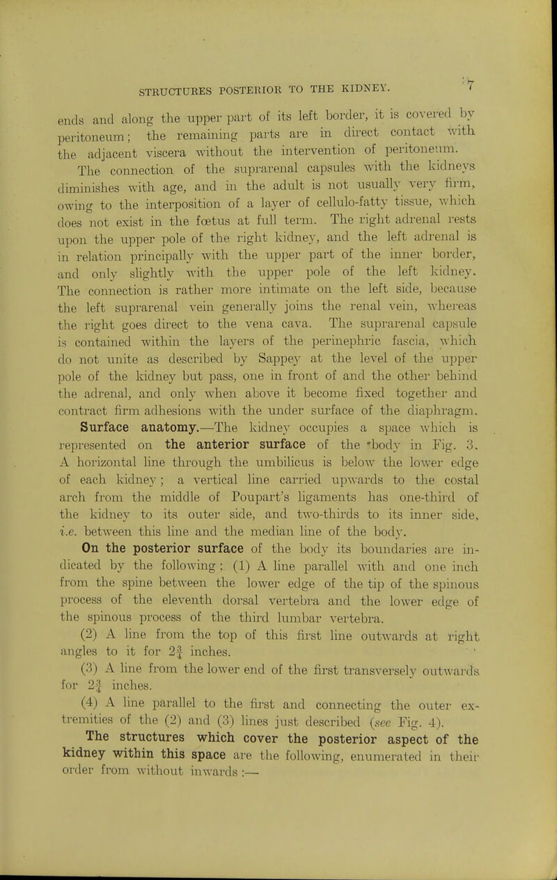 STRUCTURES POSTERIOR TO THE KIDNEY. / ends and along the upper part of its left border, it is covered by peritoneum; the remahiing parts are in direct contact with the adjacent viscera without the intervention of peritoneum. The connection of the suprarenal capsules with the kidneys diminishes with age, and in the adult is not usually very firm, owing to the interposition of a layer of cellulo-fatty tissue, which does not exist in the foetus at full term. The right adrenal rests upon the upper pole of the right kidney, and the left adrenal is in relation principally with the upper part of the inner border, and only slightly with the upper pole of the left kidney. The connection is rather more intimate on the left side, liecause the left suprarenal vein generally joins the renal vein, Avhereas the right goes direct to the vena cava. The suprarenal capsule is contained within the layers of the perinephric fascia, whicli do not unite as described by Sappey at the level of the upper pole of the kidney but pass, one in front of and the othei' behind the adrenal, and only when above it become fixed togethei- and contract firm adhesions with the under surface of the diaphragm. Surface anatomy.—The kidney occupies a space Avhich is represented on the anterior surface of the 'body in Fig. 3. A hoi'izontal line through the umbilicus is below the lower edge of each kidney; a vertical line carried upwards to the costal arch from the middle of Poupart's ligaments has one-third of the kidney to its outer side, and two-thirds to its inner side, i.e. between this line and the median line of the bodv. On the posterior surface of the body its boundaries are m- dicated by the following : (1) A line parallel Avith and one inch from the spme between the lower edge of the tip of the spinous process of the eleventh dorsal vertebra and the lower edge of the spinous process of the third lumbar vertebra. (2) A line from the top of this first line outwards at right angles to it for 2J inches. (3) A line from the lower end of the first transversely outwards for 2| inches. (4) A line parallel to the first and connecting the outer ex- tremities of the (2) and (3) lines just described (sec Fig. 4). The structures which cover the posterior aspect of the kidney within this space are the following, enumerated in their order from without inwards :—
