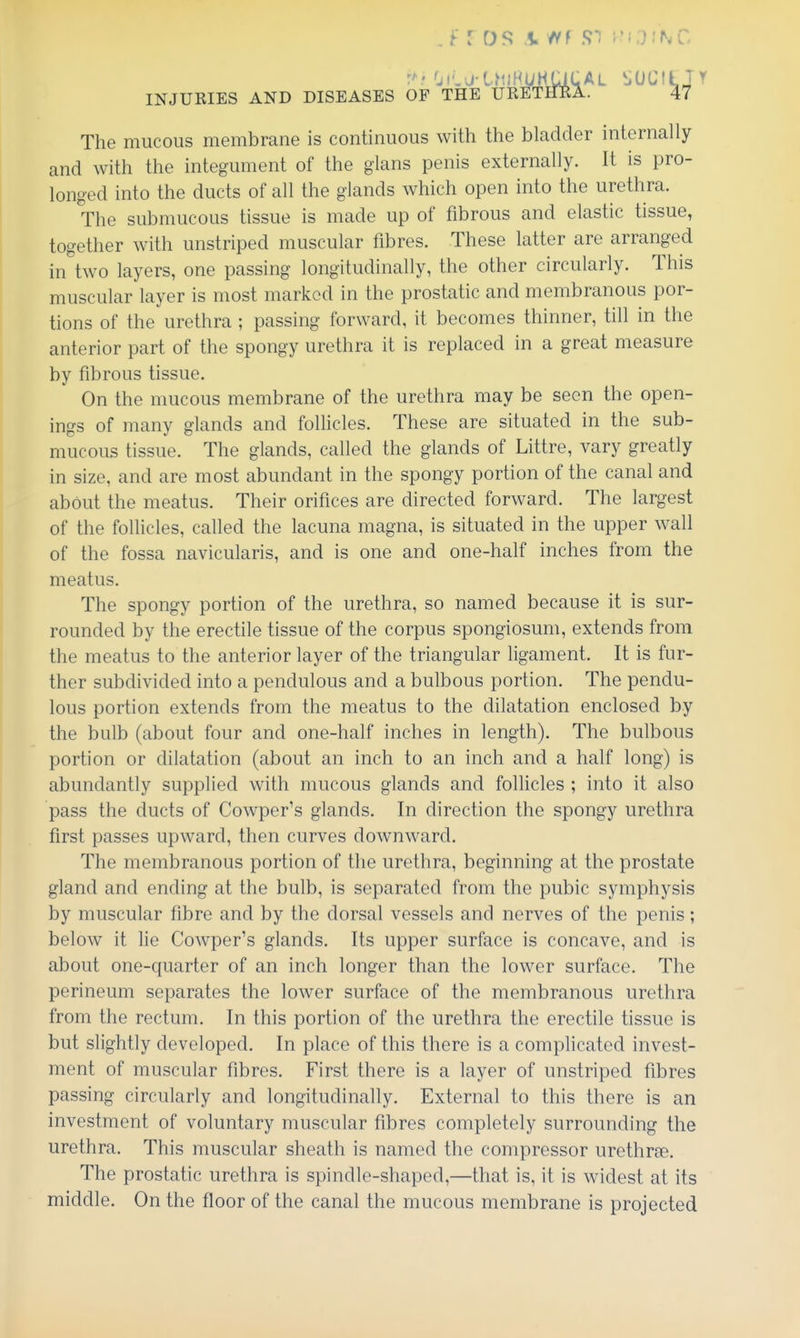 . F r OS \ 5?*) iM;};r,C 'jc'.j-lfDMUHCjCAL SUCILJY INJURIES AND DISEASES OF THE URETHRA. 47 The mucous membrane is continuous with the bladder internally and with the integument of the glans penis externally. It is pro- longed into the ducts of all the glands which open into the urethra. The submucous tissue is made up of fibrous and elastic tissue, together with unstriped muscular fibres. These latter are arranged in two layers, one passing longitudinally, the other circularly. This muscular layer is most marked in the prostatic and membranous por- tions of the urethra ; passing forward, it becomes thinner, till in the anterior part of the spongy urethra it is replaced in a great measure by fibrous tissue. On the mucous membrane of the urethra may be seen the open- ings of many glands and foUicles. These are situated in the sub- mucous tissue. The glands, called the glands of Littre, vary greatly in size, and are most abundant in the spongy portion of the canal and about the meatus. Their orifices are directed forward. The largest of the follicles, called the lacuna magna, is situated in the upper wall of the fossa navicularis, and is one and one-half inches from the meatus. The spongy portion of the urethra, so named because it is sur- rounded by the erectile tissue of the corpus spongiosum, extends from the meatus to the anterior layer of the triangular ligament. It is fur- ther subdivided into a pendulous and a bulbous portion. The pendu- lous portion extends from the meatus to the dilatation enclosed by the bulb (about four and one-half inches in length). The bulbous portion or dilatation (about an inch to an inch and a half long) is abundantly supplied with mucous glands and foUicles ; into it also pass the ducts of Cowper's glands. In direction the spongy urethra first passes upward, then curves downward. The membranous portion of the urethra, beginning at the prostate gland and ending at the bulb, is separated from the pubic symphysis by muscular fibre and by the dorsal vessels and nerves of the penis; below it he Cowper's glands. Its upper surface is concave, and is about one-c|uarter of an inch longer than the lower surface. The perineum separates the lower surface of the membranous urethra from the rectum. In this portion of the urethra the erectile tissue is but slightly developed. In place of this there is a comphcated invest- ment of muscular fibres. First there is a layer of unstriped fibres passing circularly and longitudinally. External to this there is an investment of voluntary muscular fibres completely surrounding the urethra. This muscular sheath is named the compressor urethrse. The prostatic urethra is spindle-shaped,—that is, it is widest at its middle. On the floor of the canal the mucous membrane is projected