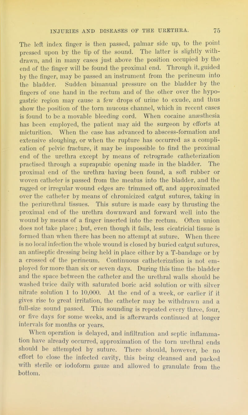 The left index finger is then passed, palmar side up, to the point pressed upon by the tip of the sound. The latter is slightly with- drawn, and in many cases just above the position occupied by the end of the finger will be found the proximal end. Through it, guided by the finger, may be passed an instrument from the perineum into the bladder. Sudden bimanual pressure on the bladder by the fingers of one hand in the rectum and of the other over the hypo- gastric region may cause a few drops of urine to exude, and thus show the position of the torn mucous channel, which in recent cases is found to be a movable bleeding cord. When cocaine anaesthesia has been employed, the patient may aid the surgeon by efforts at micturition. When the case has advanced to abscess-formation and extensive sloughing, or when the rupture has occurred as a compli- cation of pelvic fracture, it may be impossible to find the proximal end of the urethra except by means of retrograde catheterization practised through a suprapubic opening made in the bladder. The proximal end of the urethra having been found, a soft rubber or woven catheter is passed from the meatus into the bladder, and the ragged or irregular wound edges are trimmed off, and approximated over the catheter by means of chromicized catgut sutures, taking in the periurethral tissues. This suture is made easy by thrusting the proximal end of the urethra downward and forward well into the wound by means of a finger inserted into the rectum. Often union does not take place; but, even though it fails, less cicatricial tissue is formed than when there has been no attempt at suture. When there is no local infection the whole wound is closed by buried catgut sutures, an antiseptic dressing being held in place either by a T-bandage or by a crossed of the perineum. Continuous catheterization is not em- ployed for more than six or seven days. During this time the bladder and the space between the catheter and the urethral walls should be washed twice daily with saturated boric acid solution or with silver nitrate solution 1 to 10,000. At the end of a week, or earlier if it gives rise to great irritation, the catheter may be withdrawn and a full -size sound passed. This sounding is repeated every three, four, or five days for some weeks, and is afterwards continued at longer intervals for months or years. When operation is delayed, and infiltration and septic inflamma- tion have already occurred, approximation of the torn urethral ends should be attempted by suture. There should, however, be no effort to close the infected cavity, this being cleansed and packed with sterile or iodoform gauze and allowed to granulate from the bottom.