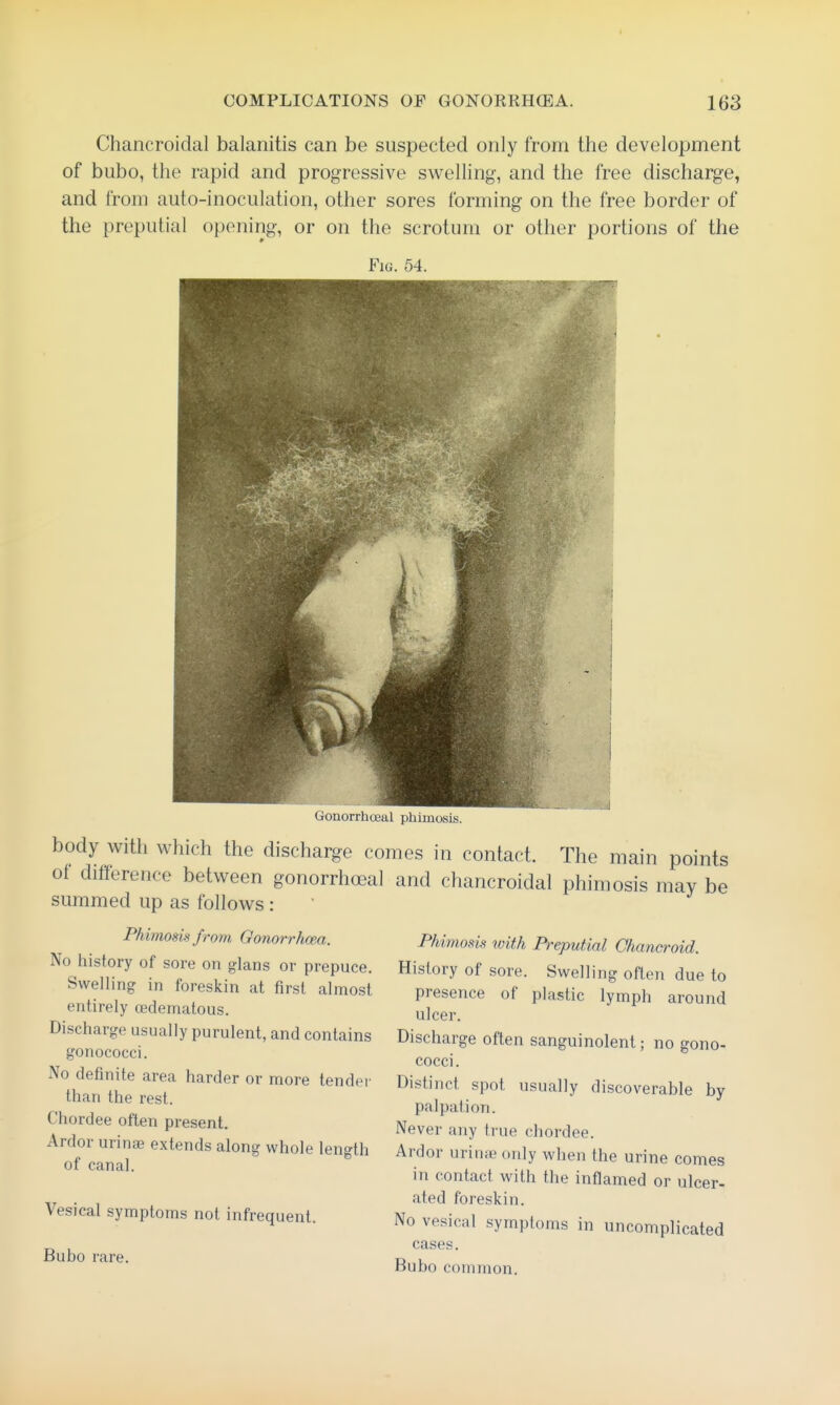 Chancroidal balanitis can be suspected only from the development of bubo, the rapid and progressive swelling, and the free discharge, and from auto-inoculation, other sores forming on the free border of the preputial opening, or on the scrotum or other portions of the Fig. 54. Gonorrhoea! phimosis. body with which the discharge comes in contact. The main points of difference between gonorrhoeal and chancroidal phimosis may be summed up as follows : Phimosis with Preputial Chancroid. Hislory of sore. Swelling often due to presence of plastic lymph around ulcer. Discharge often sanguinolent; no gono- cocci. Distinct spot usually discoverable by palpation. Never any true chordee. Ardor uriiia? only when the urine comes in contact with the inflamed or ulcer- ated foreskin. No vesical symptoms in uncomplicated cases. Bubo common. Phimosis from Gonorrhcea. No history of sore on glans or prepuce. Swelling in foreskin at first almost entirely cedematous. Discharge usually purulent, and contains gonococci. No definite area harder or more tender than the rest. Chordee often present. Ardor urinae extends along whole length of canal. Vesical symptoms not infrequent. Bubo rare.