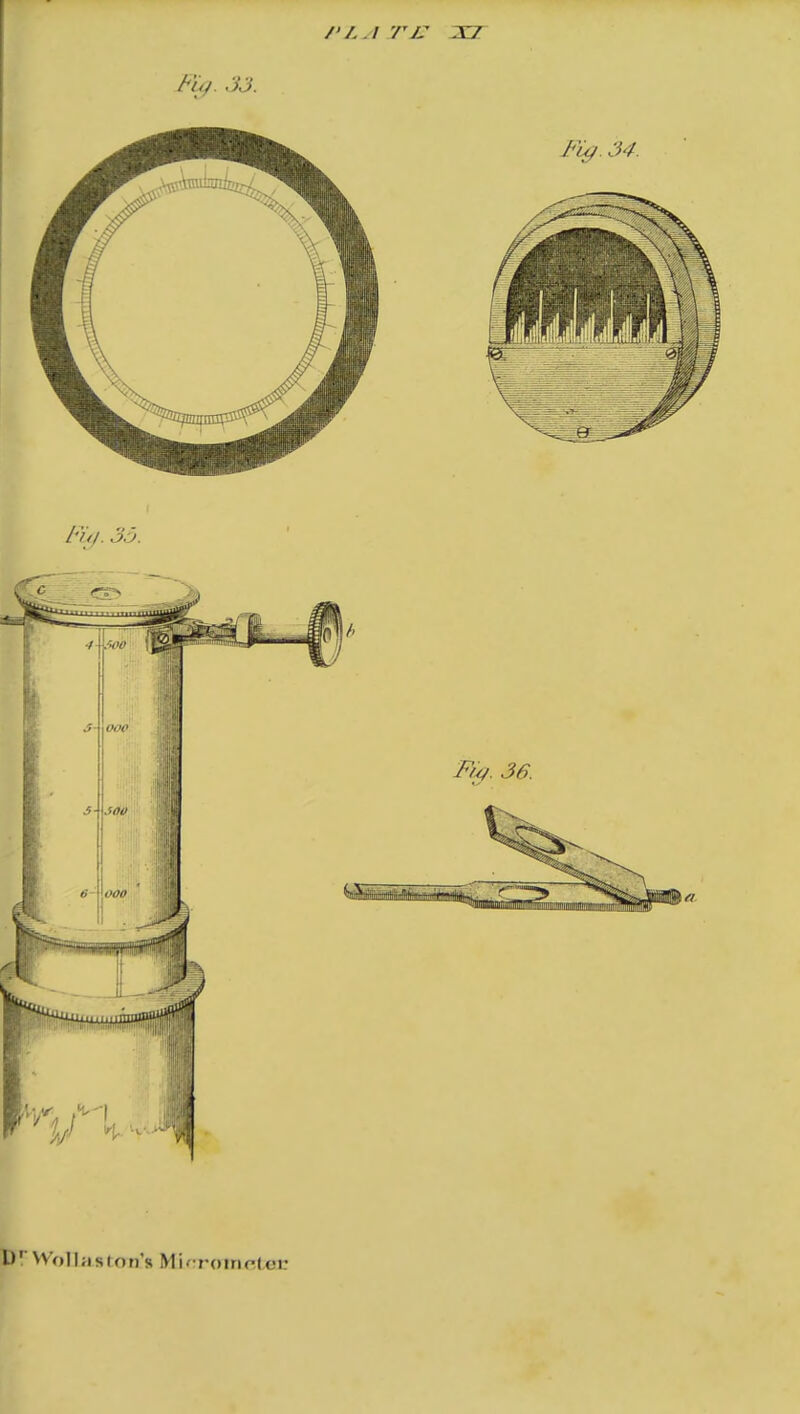 Fuj. 33. Fig. 3d. I)1 W'oll;ision's Micrateeler