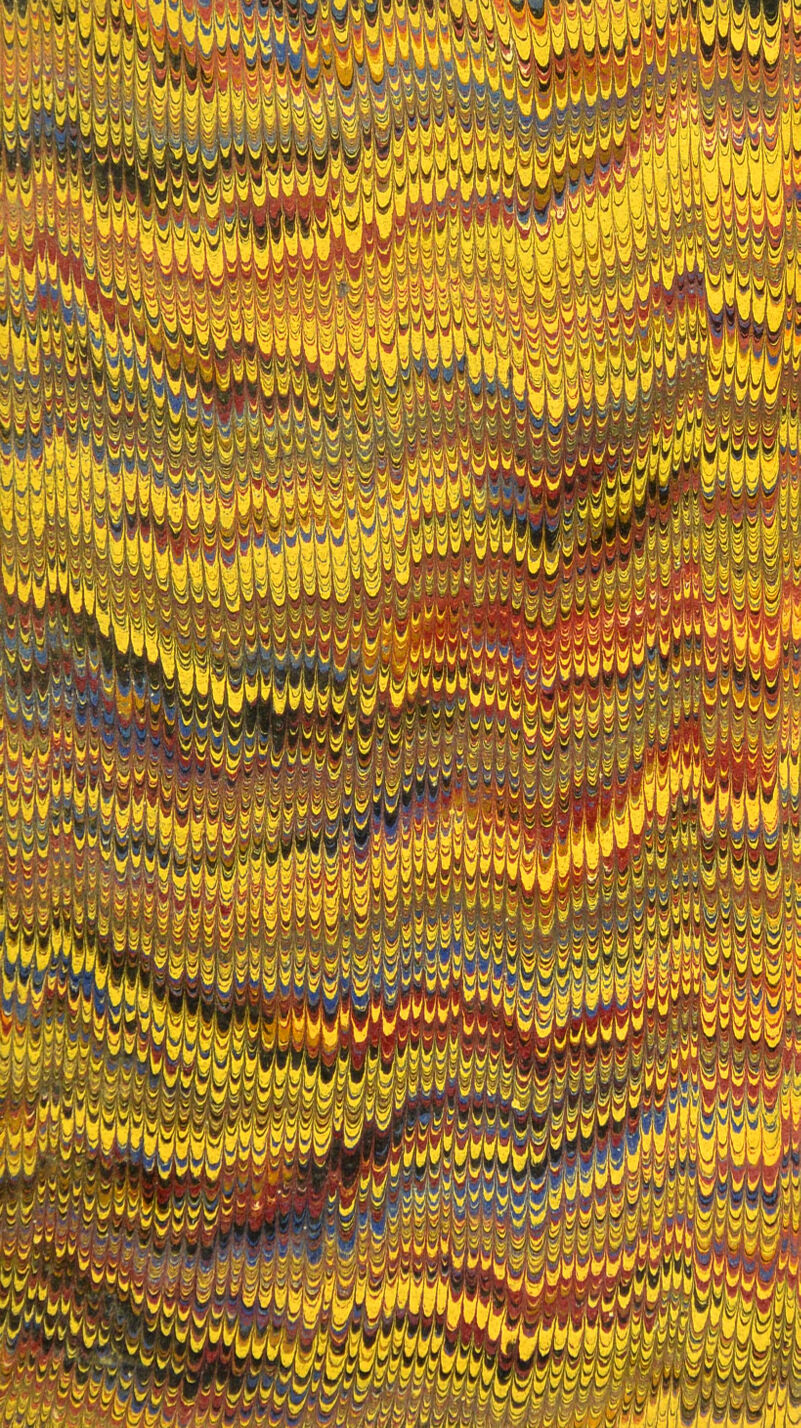 No text description is available for this image