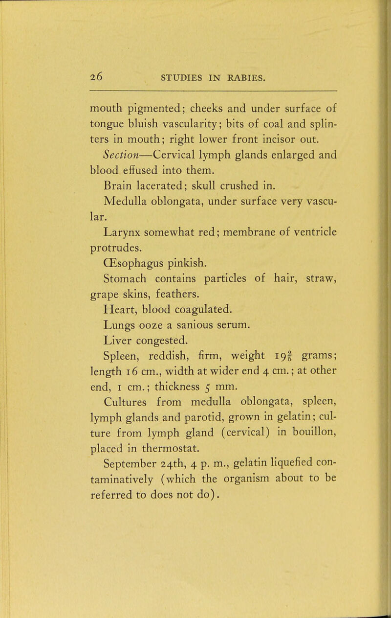 mouth pigmented; cheeks and under surface of tongue bluish vascularity; bits of coal and splin- ters in mouth; right lower front incisor out. Section—Cervical lymph glands enlarged and blood effused into them. Brain lacerated; skull crushed in. Medulla oblongata, under surface very vascu- lar. Larynx somewhat red; membrane of ventricle protrudes. QEsophagus pinkish. Stomach contains particles of hair, straw, grape skins, feathers. Heart, blood coagulated. Lungs ooze a sanious serum. Liver congested. Spleen, reddish, firm, weight 19! grams; length 16 cm., width at wider end 4 cm.; at other end, I cm.; thickness 5 mm. Cultures from medulla oblongata, spleen, lymph glands and parotid, grown in gelatin; cul- ture from lymph gland (cervical) in bouillon, placed in thermostat. September 24th, 4 p. m., gelatin liquefied con- taminatively (which the organism about to be referred to does not do).