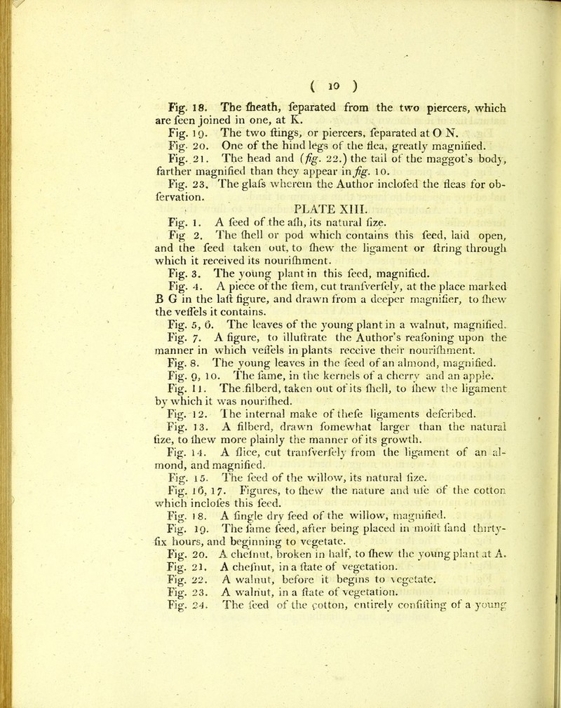 ( 1° ) Fig. 18. The fheath, feparated from the two piercers, which are feen joined in one, at K. Fig. 19. The two flings, or piercers, feparated at O N. Fig- 20. One of the hind legs of the flea, greatly magnified. Fig. 21. The head and ( fig. 22.) the tail of the maggot’s body, farther magnified than they appear in Jig. l o. Fig. 23. The glafs wherein the Author inclofed the fleas for ob- fervation. PLATE XIII. Fig. 1. A feed of the afh, its natural fize. Fig 2. The (hell or pod which contains this feed, laid open, and the feed taken out, to fhew the ligament or firing through which it received its nourifhment. Fig. 3. The young plant in this feed, magnified. Fig. 4. A piece of the flem, cut tranfverfely, at the place marked B G in the lafl figure, and drawn from a deeper magnifier, to fhew the veffels it contains. Fig. 5, 5. The leaves of the young plant in a walnut, magnified. Fig. 7. A figure, to illullrate the Author’s reafoning upon the manner in which veflels in plants receive their nourifhment. Fig. 8. The young leaves in the feed of an almond, magnified. Fig. 9, 10. The fame, in the kernels of a cherry and an apple. Fig. 11. The.filberd, taken out of its fliell, to fhew the ligament by which it was nourifhed. Fig. 12. 1 he internal make of thefe ligaments deferibed. Fig. 13. A filberd, drawn fomewhat larger than the natural fize, to fhew more plainly the manner of its growth. Fig. 14. A dice, cut tranfverfely from the ligament of an al- mond, and magnified. Fig. 15. The feed of the willow, its natural fize. Fig. lO, 17. Figures, to (hew the nature and ufe of the cotton which inclofes this feed. Fig. l 8. A fingle dry feed of the willow, magnified. Fig. 19. The fame feed, after being placed in moilt land thirty- fix hours, and beginning to vegetate. Fig. 20. A chelnut, broken in half, to fhew the young plant at A. Fig. 21. A chejhut, in a Hate of vegetation. Fig. 22. A walnut, before it begins to \egetate. Fig. 23. A walnut, in a flate of vegetation.