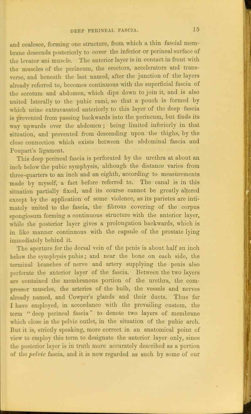 DEEP PERINEAL FASCIA. ami coalesce, forming one structure, from which a thin fascial mem- brane descends posteriorly to cover the inferior or perineal surface of the levator ani muscle. The anterior layer is in contact in front with the muscles of the perineum, the erectors, accelerators and trans- verse, and beneath the last named, after the junction of the layers already referred to, becomes continuous with the superficial fascia of the scrotum and abdomen, which dips down to join it, and is also united laterally to the pubic rami, so that a pouch is formed by which urine extravasated anteriorly to this layer of the deep fascia is prevented from passing backwards into the perineum, but finds its way upwards over the abdomen j being limited inferiorly in that situation, and prevented from descending upon the thighs, by the close connection which exists between the abdominal fascia and Poupart's ligament. This deep perineal fascia is perforated by the urethra at about an inch below the pubic symphysis, although the distance varies from three-quarters to an inch and an eighth, according to measurements made by myself, a fact before referred to. The canal is in this situation partially fixed, and its course cannot be greatly altered except by the application of some violence, as its parietes are inti- mately united to the fascia, the fibrous covering of the corpus spongiosum forming a continuous structure with the anterior layer, while the posterior layer gives a prolongation backwards, which is in like manner continuous with the capsule of the prostate lying immediately behind it. The aperture for the dorsal vein of the penis is about half an inch below the symphysis pubis; and near the bone on each side, the terminal branches of nerve and artery supplying the penis also perforate the anterior layer of the fascia. Between the two layers are contained the membranous portion of the urethra, the com- pressor muscles, the arteries of the bulb, the vessels and nerves already named, and Cowper's glands and their ducts. Thus far I have employed, in accordance with the prevailing custom, the term  deep perineal fascia to denote two layers of membrane which close in the pelvic outlet, in the situation of the pubic arch. But it is, strictly speaking, more correct in an anatomical point of view to employ this term to designate the anterior layer only, since the posterior layer is in truth more accurately described as a portion of the pelvic fascia, and it is now regarded as such by some of our