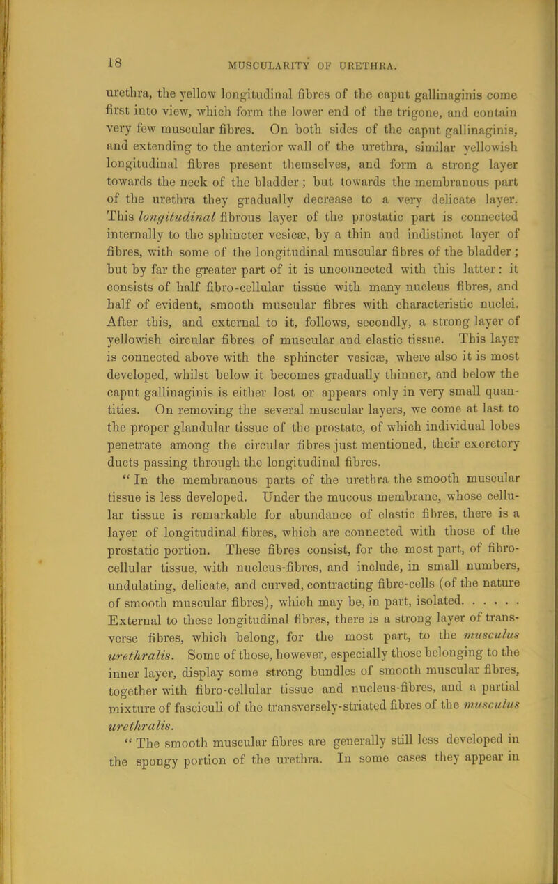urethra, the yellow longitudinal fibres of the caput gallinaginis come first into view, which form the lower end of the trigone, and contain very few muscular fibres. On both sides of the caput gallinaginis, and extending to the anterior wall of the urethra, similar yellowish longitudinal fibres present themselves, and form a strong layer towards the neck of the bladder; but towards the membranous part of the urethra they gradually decrease to a very delicate layer. This longitudinal fibrous layer of the prostatic part is connected internally to the sphincter vesica?, by a thin and indistinct layer of fibres, with some of the longitudinal muscular fibres of the bladder; but by far the greater part of it is unconnected with this latter: it consists of half fibro-cellular tissue with many nucleus fibres, and half of evident, smooth muscular fibres with characteristic nuclei. After this, and external to it, follows, secondly, a strong layer of yellowish circular fibres of muscular and elastic tissue. This layei is connected above with the sphincter vesica?, where also it is most developed, whilst below it becomes gradually thinner, and below the caput gallinaginis is either lost or appears only in very small quan- tities. On removing the several muscular layers, we come at last to the proper glandular tissue of the prostate, of which individual lobes penetrate among the circular fibres just mentioned, their excretory ducts passing through the longitudinal fibres.  In the membranous parts of the urethra the smooth muscular tissue is less developed. Under the mucous membrane, whose cellu- lar tissue is remarkable for abundance of elastic fibres, there is a layer of longitudinal fibres, which are connected with those of the prostatic portion. These fibres consist, for the most part, of fibro- cellular tissue, with nucleus-fibres, and include, in small numbers, undulating, delicate, and curved, contracting fibre-cells (of the nature of smooth muscular fibres), which may be, in part, isolated External to these longitudinal fibres, there is a strong layer of trans- verse fibres, which belong, for the most part, to the nut senilis urethralis. Some of those, however, especially those belonging to the inner layer, display some strong bundles of smooth muscular fibres, together with fibro-cellular tissue and nucleus-fibres, and a partial mixture of fasciculi of the transversely-striated fibres of the musculus urethralis.  The smooth muscular fibres are generally still less developed in the spongy portion of the urethra. In some cases they appear in
