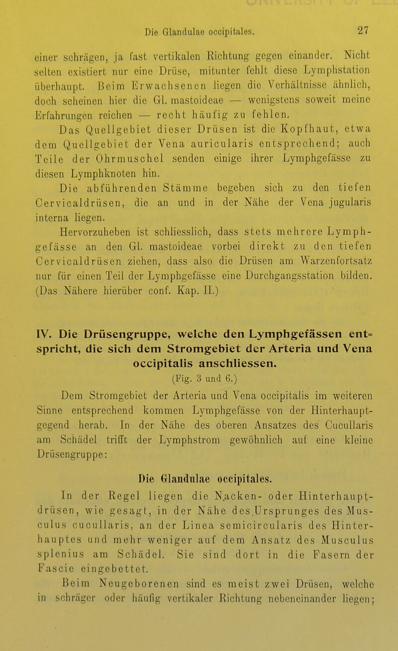 Die Glandulae ocoipitales. einer schrägen, ja fast vertikalen Richtung gegen einander. Nicht selten existiert nur eine Drüse, mitunter fehlt diese Lymphstation überhaupt. Beim Erwachsenen liegen die Verhältnisse ähnlich, doch scheinen hier die Gl. mastoideae — wenigstens soweit meine Erfahrungen reichen — recht häufig zu fehlen. Das Quellgebiet dieser Drüsen ist die Kopfhaut, etwa dem Quellgebiet der Vena auricularis entsprechend; auch Teile der Ohrmuschel senden einige ihrer Lymphgefässe zu diesen Lymphknoten hin. Die abführenden Stämme begeben sich zu den tiefen Cervicaldrüsen, die an und in der Nähe der Vena jugularis interna liegen. Hervorzuheben ist schliesslich, dass stets mehrere Lymph- gefässe an den Gl. mastoideae vorbei direkt zu den tiefen Cervicaldrüsen ziehen, dass also die Drüsen am Warzenfortsatz nur für einen Teil der Lymphgefässe eine Durchgangsstation bilden. (Das Nähere hierüber conf. Kap. IL) IV. Die Drüsengruppe, welche den Lymphgefässen ent= spricht, die sich dem Stromgebiet der Arteria und Vena occipitalis anschliessen. (Fig. 3 und 6.) Dem Stromgebiet der Arteria und Vena occipitalis im weiteren Sinne entsprechend kommen Lymphgefässe von der Hinterhaupt- gegend herab. In der Nähe des oberen Ansatzes des Cucullaris am Schädel trifft der Lymphstrom gewöhnlich auf eine kleine Drüsengruppe: Die (jlaudiilae occipitales. In der Regel liegen die N.acken- oder Hinterhaupt- drüsen, wie gesagt, in der Nähe des Ursprunges des Mus- culus cucullaris, an der Linea semicircularis des Hinter- hauptes und mehr weniger auf dem Ansatz des Musculus splenius am Schädel. Sie sind dort in die Fasern der Fascie eingebettet. Beim Neugeborenen sind es meist zwei Drüsen, welche in schräger oder häufig vertikaler Richtung nebeneinander liegen;