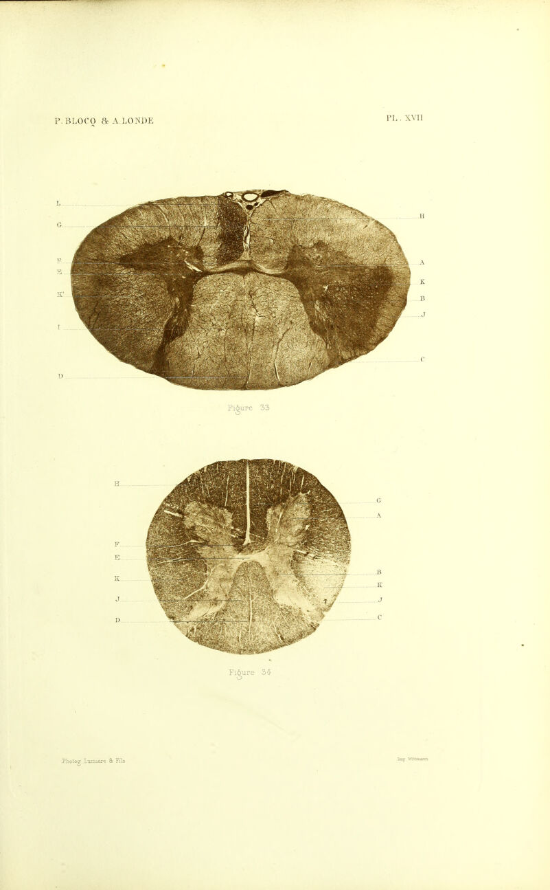 p. BLOCO 8c A.LONDE PL . XYII