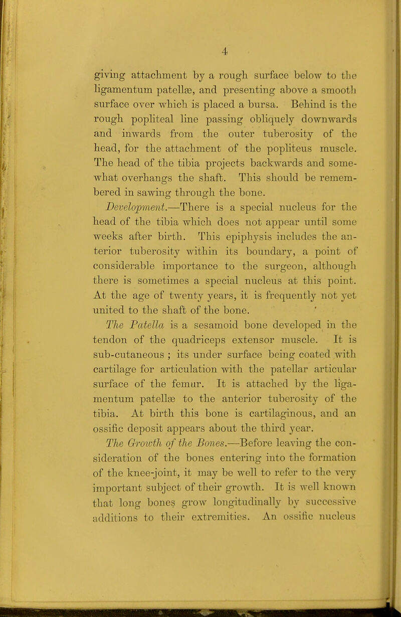 giving attachment by a rough surface below to the ligamentum patellae, and presenting above a smootli surface OA^'er which is placed a bursa. Behind is the rough popliteal line passing obliquely downwards and inwards from the outer tuberosity of the head, for the attachment of the popliteus muscle. The head of the tibia projects backwards and some- what overhangs the shaft. This should be remem- bered in sawino: through the bone. Development.—There is a special nucleus for the head of the tibia which does not appear until some weeks after bu-th. This epiphysis includes the an- terior tuberosity within its boundary, a point of considerable importance to the surgeon, although there is sometimes a special nucleus at this point. At the age of twenty years, it is frequently not yet united to the shaft of the bone. The Patella is a sesamoid bone developed in the tendon of the quadriceps extensor muscle. It is sub-cutaneous ; its under surface being coated with cartilage for articulation with the patellar articular surface of the femur. It is attached by the liga- mentum patellas to the anterior tuberosity of the tibia. At birth this bone is cartilaginous, and an ossific deposit appears about the third year. The Groioth of the Bones.—Before lea^dng the con- sideration of the bones entering into the formation of the knee-joint, it may be well to refer to the very important subject of their growth. It is well known that long bones grow longitudinally by successive additions to their extremities. An ossific nucleus