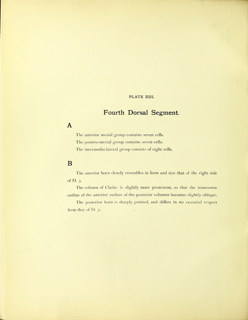 Fourth Dorsal Segment. A Tlie anterior mesial group contains seven cells. The postero-mesial group contains seven cells. The intermedio-lateral group consists of eight cells. B The anterior horn closely resembles in form and size that of the right side of IX 3- The column of Clarke is slightly more prominent, so that the transverse outline of the anterior surface of the posterior columns becomes slightly oblique. The p(xsterior horn is sharply pointed, and differs in no essential respect from that of D. 3.