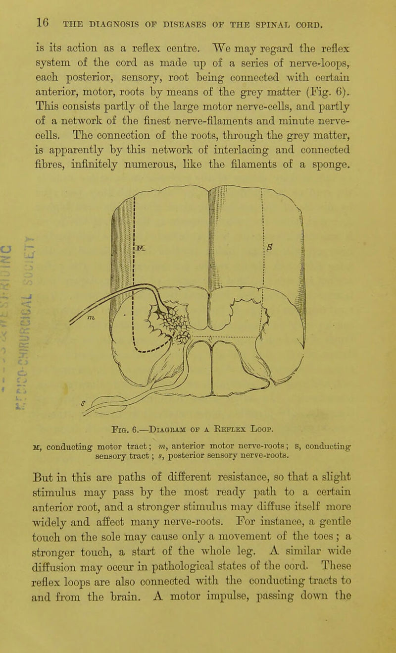 is its aotion as a reflex centre. We may regard the reflex system of the cord as made up of a series of nerve-loops, each posterior, sensory, root being connected with certain anterior, motor, roots by means of the grey matter (Fig. 6). This consists partly of the large motor nerve-cells, and j)artly of a network of the finest nerve-filaments and minute nerve- cells. The connection of the roots, through the grey matter, is apparently by this network of interlacing and connected fibres, infinitely numerous, like the filaments of a sponge. Tm. 6.—DiAGEAM OF A Reflex Loop. M, conducting motor tract; m, anterior motor nerve-roots; s, conducting sensory tract; s, posterior sensory nerve-roots. But in this are paths of different resistance, so that a slight stimulus may pass by the most ready path to a certain anterior root, and a stronger stimulus may diffuse itself more widely and affect many nerve-roots. For instance, a gentle touch on the sole may cause only a movement of the toes ; a stronger touch, a start of the whole leg. A similar wide diffusion may occur in pathological states of the cord. These reflex loops are also connected with the conducting tracts to and from the brain. A motor impulse, passing dovm the