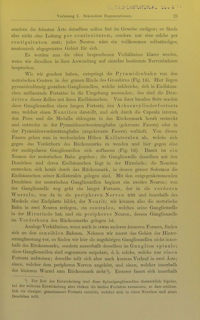 sondern die feinsteji Äste derselben sollen frei im Gewebe endigen; es fände also nicht eine Leitung per continui tatoni, sondern nur eine solche per contiguitateni statt; jedes Neuron wäre ein vollkommen selbständiges, anatomisch abgegrenztes Gebiet für sich. Es werden uns die oben besprochenen Verhältnisse klarer werden, wenn wir dieselben in ihrer Anwendung auf einzelne bestimmte Nervenbahnen besprechen. Wie wir gesehen haben, entsiDringt die Pyramidenbahn von den motorischen Centren in der grauen Rinde des Grosshirns (Fig. 16). Hier liegen pyramidenförmig gestaltete Ganglienzellen, welche zahlreiche, sich in Endbäum- chen auffasernde Fortsätze in die Umgebung aussenden; das sind die Den- driten dieser Zellen mit ihren Endbäumchen. Von ihrer basalen Seite senden diese Ganglienzellen einen langen Fortsatz, den Achsencylinderfortsatz aus, welcher einen Neuriten darstellt, und sich durch die Capsula interna, den Pons und die Medidla oblongata in das Rückenmark herab erstreckt und entweder in der Pyramidenseitenstrangbahn (gekreuzte Fasern) oder in der Pyramidenvorderstrangbahn (ungekreuzte Fasern) verläuft. Von diesen Fasern gehen nun in wechselnden Höhen Kollateralen ab, welche sich gegen das Vorderhorn des Rückenmarks zu wenden und hier gegen eine der multipolaren Ganglienzellen sich auffasern (Fig. 16). Damit ist ein Neiu'on der motorischen Bahn gegeben; die Ganglienzelle desselben mit den Dendriten und deren Endbäumchen liegt in der Hirnrinde; die Neuriten erstrecken sich herab durch das Rückenmark, in dessen grauer Substanz die Endbäumchen seiner Kollateralen gelegen sind. Mit den entgegenko'nnnenden Dendriten der motorischen Ganglienzellen beginnt ein zweites Neuron; von der Ganglienzelle weg geht ein langer Fortsatz, der in die vorderen Wurzeln, von da in die peripheren Nerven tritt und innerhalb des Muskels eine Endplatte bildet, der Neurit; wir können also die motorische Bahn in zwei Neuren zerlegen, ein centrales, welches seine Ganglienzelle in der Hirnrinde hat, und ein periijheres Neuron, dessen Ganglienzelle im Vorderhorn des Rückenmarks gelegen ist. Analoge Verhältnisse, wenn auch in etwas anderen äusseren Formen, finden sich an den sensiblen Bahnen. Nehmen wir zuerst das Gebiet der Hinter- strangfaserung vor, so finden wir hier die zugehörigen Ganglienzellen nicht inner- halb des Rückenmarks, sondern ausserhalb desselben im Ganglion spinale; diese Ganglienzellen sind sogeiiannte unipolare, d.h. solche, welche nur einen Fortsatz aufweisen; derselbe teilt sich aber nach kurzem Verlauf in zwei Äste; einen, welcher dem peripheren Nerven angehört, und einen, welcher innerhalb der hinteren Wurzel zum Rückenmark zieht'). Ersterer fasert sich innerhalb ') Zur Zeit der Entwickclung sind diese Spinalgaiiglienzellcn thatsüchlich bipolar, bei der weiteren Entwickclung aber rücken die beiden Fortsätze zusammen, so dass sclilicss- lich ein einziger, gemeinsamer Fortsatz entsteht, nclclicr sich in einen Nenriton und einen Dendriten teilt.