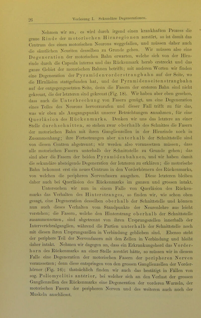 Nehmen wir au, es wird durch irgend einen krankhaften Prozess die graue Rinde der m otorischen Hirnregi o nen zerstört, so ist damit das Centrum des einen motorischen Neurons weggefallen, und müssen daher auch die sämtlichen Neuriten desselben zu Grunde gehen. Wir müssen also eine Degeneration der motorischen Bahn erwarten, welche sich von der Hirn- rinde durch die Capsula interna und das Rückenmark herab erstreckt und das ganze Gebiet der motorischen Bahnen betrifft; mit anderen Worten wir finden eine Degeneration der Pyra mi den vorderstrangb ahn auf der Seite, wo die Hirnläsion stattgefunden hat, und der Pyramidenseitenstrangbahn auf der entgegengesetzten Seite, deiln die Fasern der ersteren Bahn sind nicht gekreuzt, die der letzteren sind gekreuzt (Fig. 18). Wir haben aber eben gesehen, dass auch die Unterbrechung von Fasern genügt, um eine Degeneration eines Teiles des Neui-ons hervorzurufen und dieser Fall trifft zu für das, was wir oben als Ausgangspunkt unserer Betrachtungen annahmen, für eine Querläsion des Rückenmarks. Denken wir uns das letztere an einer Stelle durchschnitten, so stehen zwar oberhalb des Schnittes die Fasern der motorischen Bahn mit ihren Ganglienzellen in der Hirnrinde noch in Zusammenhang; ihre Fortsetzungen aber unterhalb der Schnittstelle sind von diesen Centren abgetrennt; wir werden also voraussetzen müssen, dass alle motorischen Fasern unterhalb der Schnittstelle zu Grunde gehen; das sind aber die Fasern der beiden Pyramiden bahnen, und wir haben damit die sekundäre absteigende Degeneration der letzteren zu erklären; die motorische Bahn bekommt erst ein neues Centrum in den Vorderhörnern des Rückenmarks, von welchen die peripheren Nervenfasern ausgehen. Diese letzteren bleiben daher auch bei Querläsion des Rückenmarks im ganzen und grossen intakt. Untersuchen wir nun in einem Falle von Querläsion des Rücken- marks das Verhalten des Hinter Stranges, so finden wir, wie schon oben gesagt, eine Degeneration desselben oberhalb der Schnittstelle und können nun auch dieses Verhalten vom Standpunkte der Neurenlehre aus leicht verstehen; die Fasern, welche den Hinterstrang oberhalb der Schnittstelle zusammensetzen, sind abgetrennt von ihren Ur.sprungszellen innerhalb der Intervertebralganglien, während die Partien unterhalb der Schnittstelle noch mit diesen ihren Ursprungszellen in Verbindung geblieben sind. Ebenso steht der periphere Teil der Nervenfasern mit den Zellen in Verbindung und bleibt daher intakt. Nehmen wir dagegen an, dass ein Erkrankungsherd das Vorder- horn des Rückenmarks an einer Stelle zerstört hätte, so müssen wir in diesem Falle eine Degeneration der motorischen Faseiui der peripheren Nerven voraussetzen; denn diese entspringen von den grossen Ganglienzellen der Vorder- hörner (Fig. 16); thatsächhch finden wir auch das bestätigt in Fällen von sog. Poll omyelitis anterior, bei welcher sich an den Verlust der grossen Ganglienzellen des Rückenmarks eine Degeneration der vorderen Wurzeln, der motorischen Fasern der peripheren Nerven und des weiteren auch noch der Muskeln anschliesst.