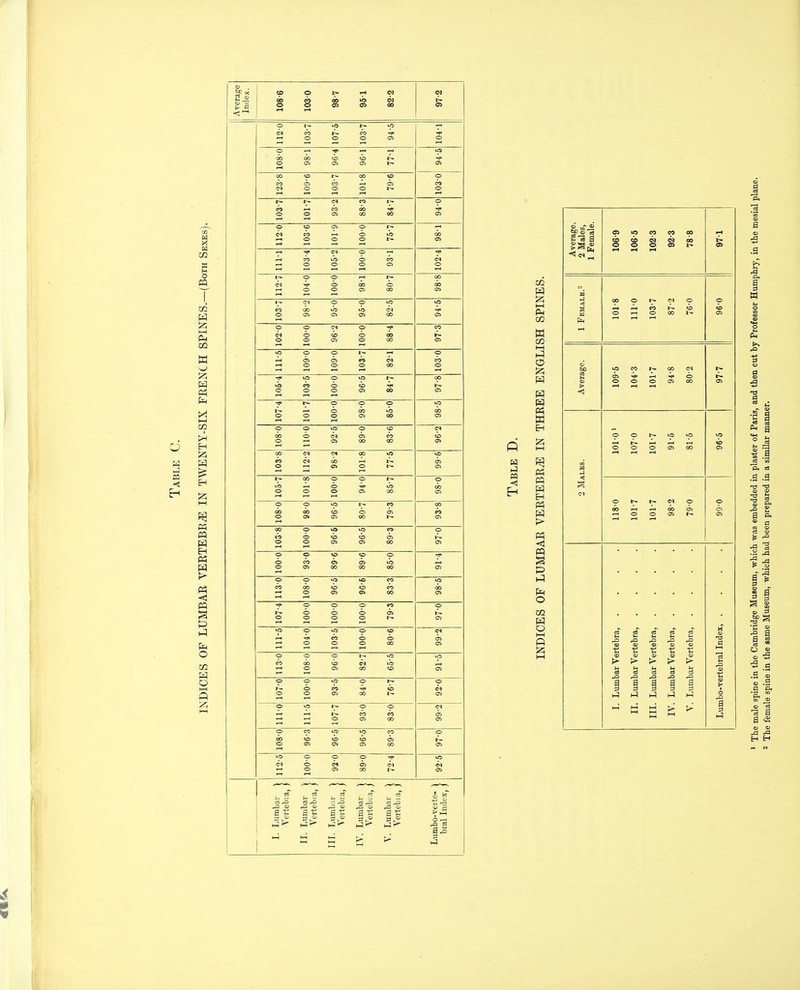 Average Index. 108-6 1030 98-7 as 05 CJ 00 97-2 o I CO o o CO o ■* OS o o •* o 05 CO a> cb OS t - OS CO CO I ~ 00 CO o CO 1—( O I-H CO o o CS t ~ CO o t — CO I - o CO o I—( O CO o> OS 00 00 OS o CD 05 cp CO o o o o >b t - oo C7S C<i o CO o o o o CO OS o o o 00 Cl o o o CO o> o 00 OS OS I - tM o o lo CO o oo a> OJ OS 00 OS o o CrA o CO e4 o o o CO o o do CO os U5 o o o f—( i-H OS o OS o to o 00 CO o ■?* o oo o I-H eo o o o I-H cb OS 00 os o o o 1^ o i-H o o o <» OS lb oo CO OS o o o CO <N CO o o OS 6> 00 CO CO cb OS 00 (M c< 00 us to o <N CO OS o 1 - OS OS t— 00 o o o »o o o o o -* OS »b 00 OS OS o o >o 1- CO oo oo o oo en CO OS o 00 OS CO OS oo o >o 0 CO o CO o o o CO (35 cb <35 OS oo C7S o o CO CO o -* o o CO cn OS oo OS 00 »b OS OS o o >o *o CO f CO CO o to OS cb OS CO oo oo C?s -* o o o so o o o o cb o o o OS 1^ OS o o CO T* o CO o o o 00 OS OS o o o »o to CO CO o cb OS oo lb CO OS o o o o o o o CO OS 00 cb « OS o >o 1 - o o o CO OS CO OS OS OS o CO >o CO o <i> o <b o> cb Oi cb OS OS 00 b- OS o o o ■* UO I-H o o !?< OS OS CO <N OS cT I. Lumbal Verteb; II. Lumbal Vertebi III. Lumbal Vertebi IV. Lumbal Vertebi V. Lumbal Vertebi Lumbo-vert bral Inde iJ CQ I—I Ph an W CC I-H W EH H H o O I-H ft s-a a I-H ^ .-H I-H f-H ^ i:^ 0 a 1-^ a
