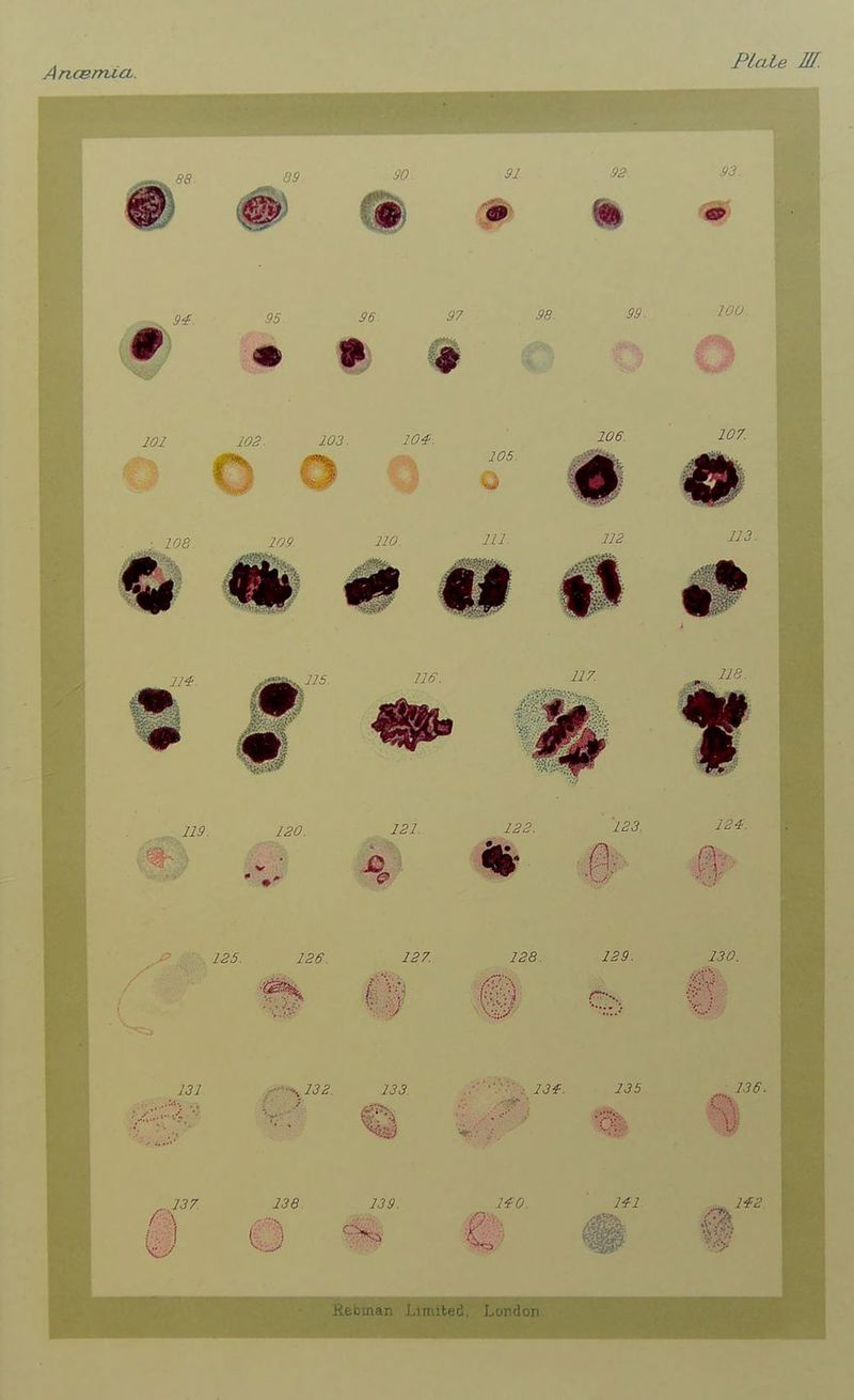 AncerrUct. PlciLe in.