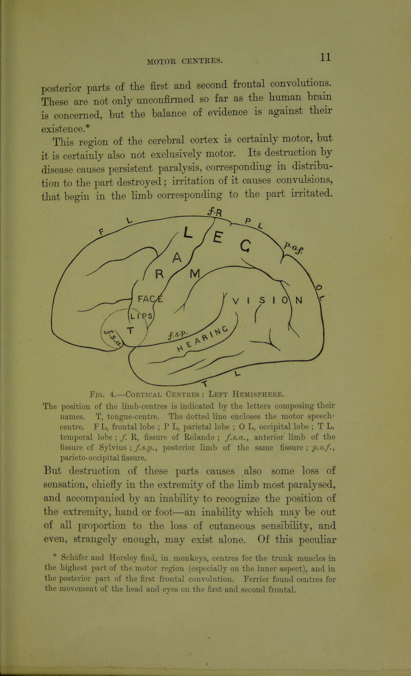 MOTOR CENTRES. posterior parts of tlie first and second frontal convolutions. These are not only unconfirmed so far as the liuman brain is concerned, but tbe balance of evidence is against their existence.* This region of the cerebral cortex is certainly motor, but it is certainly also not exclusively motor. Its destruction by disease causes persistent paralysis, corresponding in distribu- tion to the part destroyed; irritation of it causes convulsions, that begin in the limb corresponding to the part irritated. Fig. 4.—Cortical Centres : Left Hemisphere. The position of the limb-ceuti-es is indicated by the letters composing their names. T, tongne-centre. The dotted line encloses the motor speech- centre. F L, frontal lobe ; P L, parietal lobe ; 0 L, occipital lobe ; T L, temporal lobe; /. R, fissure of Rolando ; f.s.a., anterior limb of the fissure of Sylvius ; f.s.]}., posterior limb of the same fissure ; p.o.f., parieto-occipital fissure. But destruction of these parts causes also some loss of sensation, chiefly in the extremity of the limb most paralysed, and accompanied by an inability to recognize the position of the extremity, hand or foot—an inability which may be out of all proportion to the loss of cutaneous sensibility, and even, strangely enough, may exist alone. Of this peculiar * Schiifer and Horsley find, in. monkeys, centres for the trunk muscles in the highest part of the motor region (especially on the inner aspect), and in the posterior part of the first frontal convolution. Ferrier found centres for the movement of the head and eyes on the first and second frontal.