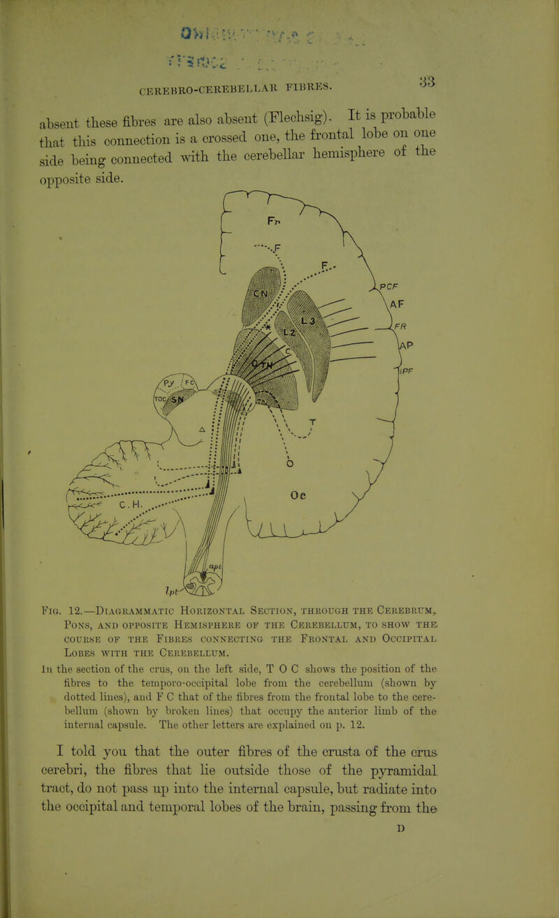 QUI CEREBRO-CEREBELLAll FIBRES. 33 absent these fibres are also absent (Flechsig). It is probable that tills connection is a crossed one, the frontal lobe on one side being connected with the cerebellar hemisphere of the opposite side. Fig. 12.—Diagrammatic Horizontal Section, through the Cerebritm, Pons, and opposite Hemisphere of the Cerebellum, to show the. couKsE of the Fibres connecting the Frontal and Occipital Lobes with the Cerebellum. In the section of the cms, on the left side, T 0 C shows the position of the iibres to the tenipovo-occipital lobe from the cerebellum (shown by dotted lines), and F C that of the fibres from the frontal lobe to the cere- bellum (shown by broken lines) that occupy the anterior limb of the internal capsule. The other letters are explained on p. 12. I told you that the outer fibres of the crusta of the cms- cerebri, the fibres that lie outside those of the pyramidal tract, do not pass up into the internal capsule, but radiate into the occipital and temporal lobes of the brain, passing from the D