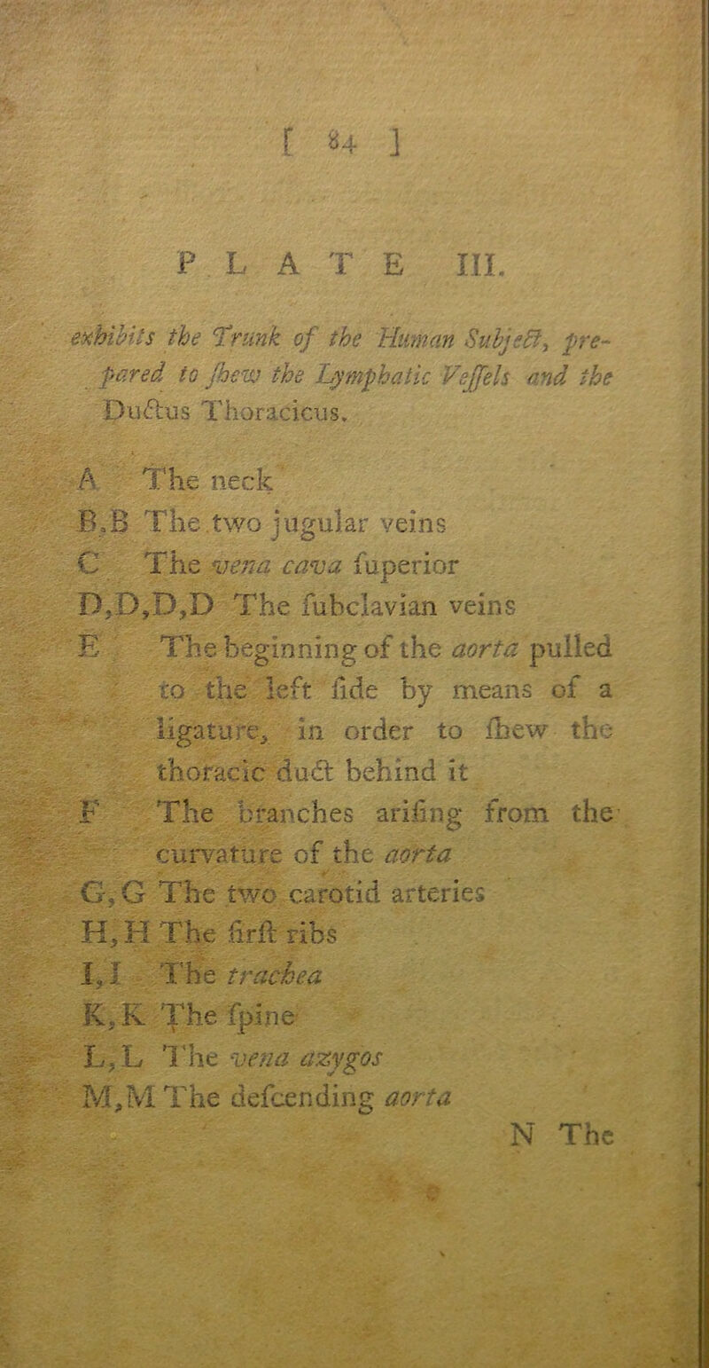 [ *4 J P L A T E III. exhibits the Trunk of the Human Subjfft, pre- pared to jbew the Lymphatic Vejfels and the Duffcus Thoracicus. A The neck B.'B The two jugular veins C The vena cava fuperior D;D?D,D The fuhclavian veins E The beginning of the aorta pulled to the left iide by means of a ligature* in order to fhew the thoracic dudt behind it F The branches ariling from the curvature of the aorta G, G The two carotid arteries H, H The lirft ribs I, I The trachea K,K The fpine- L?L The vend azygos M,M The defeending aorta