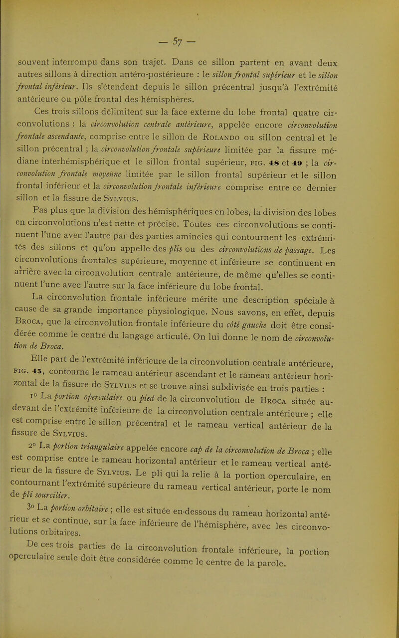 -57- souvent interrompu dans son trajet. Dans ce sillon partent en avant deux autres sillons à direction antéro-postérieure : le sillon frontal supérieur et le sillon frontal inférieur. Ils s'étendent depuis le sillon précentral jusqu'à l'extrémité antérieure ou pôle frontal des hémisphères. Ces trois sillons délimitent sur la face externe du lobe frontal quatre cir- convolutions : la circonvolution centrale antérieure, appelée encore circonvolution frontale ascendante, comprise entre le sillon de Rolando ou sillon central et le sillon précentral ; la circonvolution frontale supérieure limitée par la fissure mé- diane interhémisphérique et le sillon frontal supérieur, fig. 48 et 49 ; la cir- convolution frontale moyenne limitée par le sillon frontal supérieur et le sillon frontal inférieur et la circonvolution jrontale inférieure comprise entre ce dernier sillon et la fissure de Sylvius. Pas plus que la division des hémisphériques en lobes, la division des lobes en circonvolutions n'est nette et précise. Toutes ces circonvolutions se conti- nuent l'une avec l'autre par des parties amincies qui contournent les extrémi- tés des sillons et qu'on appelle des plis ou des circonvolutions de passage. Les cu-convolutions frontales supérieure, moyenne et inférieure se continuent en arrière avec la circonvolution centrale antérieure, de même qu'elles se conti- nuent l'une avec l'autre sur la face inférieure du lobe frontal. La circonvolution frontale inférieure mérite une description spéciale à cause de sa grande importance physiologique. Nous savons, en effet, depuis Broca, que la circonvolution frontale inférieure du côté gauche doit être consi- dérée comme le centre du langage articulé. On lui donne le nom de circonvolu- tion de Broca. Elle part de l'extrémité inférieure de la circonvolution centrale antérieure, FIG. 45, contourne le rameau antérieur ascendant et le rameau antérieur hori- zontal de la fissure de Sylvius et se trouve ainsi subdivisée en trois parties : 1° La portion opercidaire ou pied de la circonvolution de Broca située au- devant de l'extrémité inférieure de la circonvolution centrale antérieure • elle est comprise entre le sillon précentral et le rameau vertical antérieur de la fissure de Sylvius. 20 La Portion triangulaire appelée encore cap de la circonvolution de Broca ■ elle est comprise entre le rameau horizontal antérieur et le rameau vertical anté- rieur de la fissure de Sylvius. Le pli qui la relie à la portion operculaire, en contournant l'extrémité supérieure du rameau vertical antérieur, porte le nom de pu sourcilier. 30 La portion orbitaire ; elle est située en-dessous du rameau horizontal anté- rieur et se continue, sur la face inférieure de l'hémisphère, avec les circonvo- lutions orbitaires. De ces trois parties de la circonvolution frontale inférieure, la portion operculaire seule doit être considérée comme le centre de la parole.