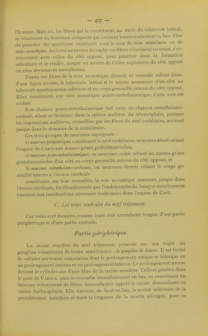 l'homme. Mais ici, les fibres qui la constituent, au sortir du tubercule latéral, se réunissent en faisceaux compacts qui croisent transversalement la face libre du plancher du quatrième ventricule sous le nom de stries médullaires ou de stries acoustiques. Arrivées au niveau du raphé ces fibres s'inclinent en avant, s'en- trecroisent avec celles du côté opposé, pour pénétrer dans la formation réticulaire et se rendre, jusque en arrière de l'olive supérieure du côté opposé où elles deviennent ascendantes. Toutes ces fibres de la voie acoustique dorsale et ventrale relient donc, d'une façon croisée, le tubercule latéral et le noyau accessoire d'un côté au tubercule quadrijumeau inférieur et au corps genouillé interne du côté opposé. Elles constituent une voie acoustique ponto-métathalamique. Cette voie est croisée. A ce chaînon ponto-métathalamique fait suite un chaînon métathalamo- cortical, allant se terminer dans la sphère auditive du télencéphale, puisque les impressions auditives, recueillies par les fibres du nerf cochléaire, arrivent jusque dans le domaine de la conscience. Ces trois groupes de neurones superposés : 1) neurones périphériques constituant le nerf cochléaire, neurones directs reliant l'organe de Corti aux masses grises protubérantielles, 2) neuroties ponto-métatkalamiques, ou neurones croisés reliant les masses grises protubérantielles d'un côté au corps genouillé interne du côté opposé, et 3) neurones métathalamo-corticaux, ou neurones directs reliant le corps ge- nouillé interne à l'écorce cérébrale constituent, par leur ensemble, la voie acoustique amenant, jusque dans l'écorce cérébrale, les ébranlements que l'endolymphe du limaçon membraneux transmet aux ramifications nerveuses renfermées dans l'organe de Corti. C. Les voies centrales du nerf trijumeau. Ces voies sont formées, comme toute voie ascendante longue, d'une partie périphérique et d'une partie centrale. Partie périphérique. La racine sensitive du nerf trijumeau présente sur son trajet un ganglion volumineux de forme semi-lunaire : le ganglion de Gasser. Il est formé de cellules nerveuses unipolaires dont le prolongement unique se bifurque en un prolongement externe et un prolongement interne. Le prolongemeiit interne devient le cylindre-axe d'une fibre de la.racine sensitive. Celle-ci pénètre dans le pont de Varole, puis se recourbe immédiatement en bas, en constituant un faisceau volumineux de fibres descendantes appelé la racine descendante ou racine bulbo-spinale. Elle traverse, de haut en bas, la moitié inférieure de la protubérance annulaire et toute la longueur de la moelle allongée, pour se