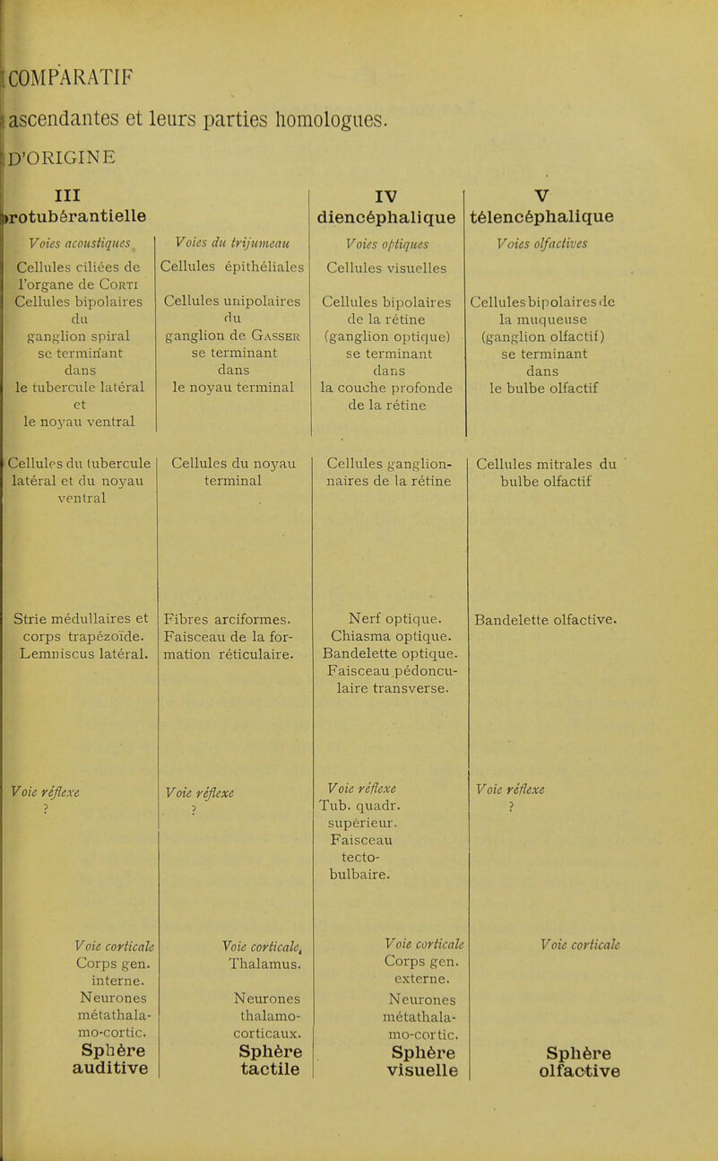 ascendantes et leurs parties homologues. D'ORIGINE III rotubérantielle Voies acoustiques Cellules ciliées de l'organe de Corti Cellules bipolaires du ganglion spiral se terminant dans le tubercule latéral et le noj'au ventral Cellules du tubercule latéral et du noyau ventral Strie médullaires et corps trapézoïde. Lemniscus latéral. Voie réflexe Voie corticale Corps gen. interne. Neurones métathala- mo-cortic. Sphère auditive Voies du trijumeau Cellules épithéliales Cellules unipolaires du ganglion de Casser se terminant dans le noyau terminal Cellules du noyau terminal Fibres arciformes. Faisceau de la for- mation réticulaire. Voie réflexe Voie corticale^ Thalamus. Neurones thalamo- corticaux. Sphère tactile IV diencéphalique Voies optiques Cellules visuelles Cellules bipolaires de la rétine (ganglion optique) se terminant dans la couche profonde de la rétine Cellules ganglion- naires de la rétine Nerf optique. Chiasma optique. Bandelette optique. Faisceau pédoncu- laire transverse. Voie réflexe Tub. quadr. supérieur. Faisceau tecto- bulbaire. Voie corticale Corps gen. externe. Neurones métathala- mo-cortic. Splière visuelle V télencéphalique Voies olfactives Cellules bipolaires de la muqueuse (ganglion olfactif) se terminant dans le bulbe olfactif Cellules mitrales du bulbe olfactif Bandelette olfactive. Voie réflexe Voie corticaJc Sphère olfactive