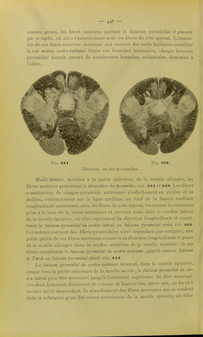 masses grises, les fibres motrices quittent le faisceau pyramidal et passent par le raphé, où elles s'entrecroisent avec les fibres du côté opposé. L'ensem- ble de ces fibres motrices destinées aux noyaux des nerfs bulbaires constitue la voie motrice coytico-bîilbqire. Outre ces branches terminales, chaque faisceau pyramidal fournit encore de nombreuses branches collatérales destinées à l'olive. FiG. 331. FiG. 333. Décussa, on des pyramides. Moelle épinière. Arrivées à la partie inférieure de la moelle allongée, les fibres motrices présentent la décussation des pyramides, fig. 331 et 332. Les fibres constitutives de chaque pyramide antérieure s'infléchissent en arrière et en dedans, s'entrecroisent sur la ligne médiane, au fond de la fissure médiane longitudinale antérieure, avec les fibres du côté opposé, traversent la substance grise à la base de la corne antérieure et arrivent ainsi dans le cordon latéral de la moelle épinière, où elles reprennent la direction longitudinale et consti- tuent le faisceau pyramidal du cordon latéral ou faisceau pyramidal croisé, fig. 333. Cet entrecroisement des fibres pyramidales n'est cependant pas complet; une petite partie de ces fibres nerveuses conserve sa direction longitudinale et passe de la moelle allongée dans le cordon antérieur de l^a moelle épinière ; là ces fibres constituent le faisceau pyramidal du cordon antérieur, appelé encore faisceau de Tîirck ou faisceau pyramidal direct, fig. »34. Le faisceau pyratnidal du cordon antérieur descend, dans la moelle épinière, jusque vers la partie inférieure de la moelle sacrée ; le faisceau pyramidal du cor- don latéral peut être poursuivi jusqu'à l'extrémité supérieure du filet terminal. Ces deux faisceaux diminuent de volume de haut en bas, parce que, au fur et à mesure qu'ils descendent, ils abandonnent des fibres nerveuses qui se rendent dans la substance grise des cornes antérieures de la moelle épinière, où elles