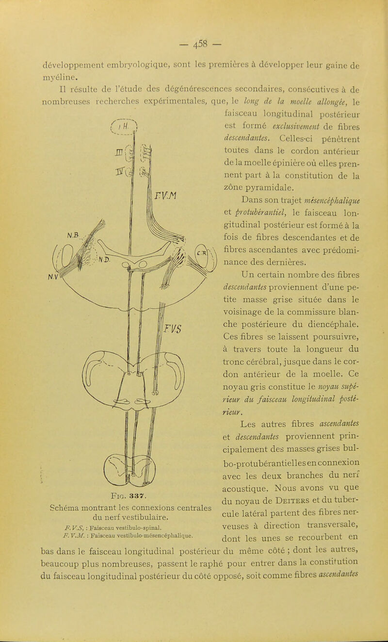 développement embryologique, sont les premières à développer leur gaine de myéline. Il résulte de l'étude des dégénérescences secondaires, consécutives à de nombreuses recherches expérimentales, que, le long de la moelle allongée, le faisceau longitudinal postérieur est formé exclusivement de fibres descendantes. Celles-ci pénètrent toutes dans le cordon antérieur de la moelle épinière où elles pren- nent part à la constitution de la zone pyramidale. Dans son trajet mésencéphaliqm et protubérantiel, le faisceau lon- gitudinal postérieur est formé à la fois de fibres descendantes et de fibres ascendantes avec prédomi- nance des dernières. Un certain nombre des fibres descendantes proviennent d'une pe- tite masse grise située dans le voisinage de la commissure blan- che postérieure du diencéphale. Ces fibres se laissent poursuivre, à travers toute la longueur du tronc cérébral, jusque dans le cor- don antérieur de la moelle. Ce noyau gris constitue le noyau supé- rieur du faisceau longitudinal posté- rieur. Les autres fibres ascendantes et descendantes proviennent prin- cipalement des masses grises bul- bo-protubérantielles en connexion avec les deux branches du nerf acoustique. Nous avons vu que du noyau de Deiters et du tuber- cule latéral partent des fibres ner- veuses à direction ti-ansversale, dont les unes se recourbent en bas dans le faisceau longitudinal postérieur du même côté ; dont les autres, beaucoup plus nombreuses, passent le raphé pour entrer dans la constitution du faisceau longitudinal postérieur du côté opposé, soit comme fibres ascendantes FiG. 337. Scliéma montrant les connexions centrales du nerf vestibnlaire. F. V.S, : Faisceau vesfcibulo-spinal. F. V.M. : Faisceau vestibulo-mésencéphalique.