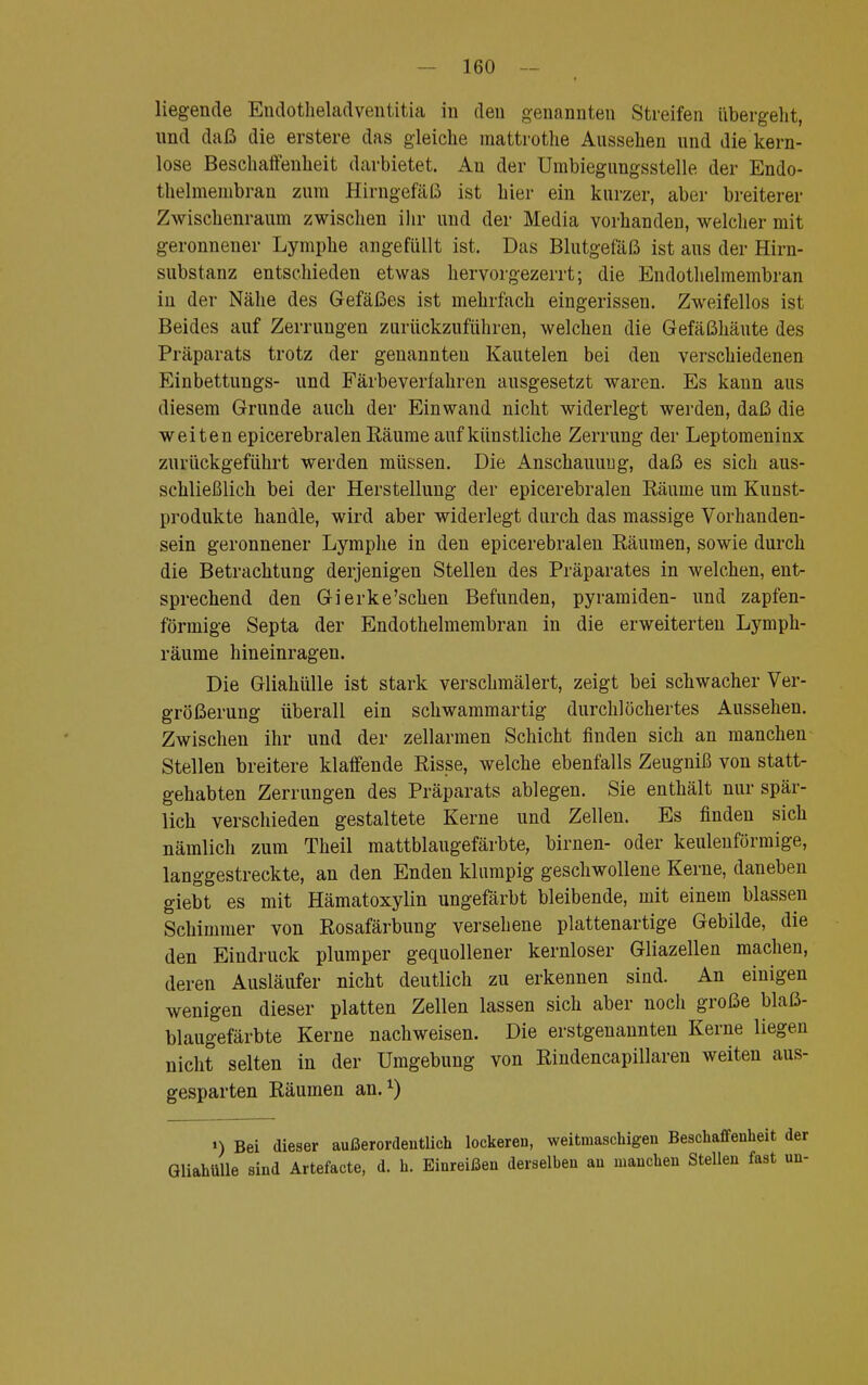 liegende Eudotheladventitia in den genannten Streifen übergeht, und daß die erstere das gleiche raattrothe Aussehen und die kern- lose Beschaffenheit darbietet. An der Umbiegungsstelle der Endo- thelmembran zum Hirngefäß ist hier ein kurzer, aber breiterer Zwischenraum zwischen ihr und der Media vorhanden, welcher mit geronnener Lymphe angefüllt ist. Das Blutgefäß ist aus der Hirn- substanz entschieden etwas hervorgezerrt; die Endothelmembran in der Nähe des Gefäßes ist mehrfach eingerissen. Zweifellos ist Beides auf Zerrungen zurückzuführen, welchen die Gefäßhäute des Präparats trotz der genannten Kautelen bei den verschiedenen Einbettungs- und Färbeverlahren ausgesetzt waren. Es kann aus diesem Grunde auch der Einwand nicht widerlegt werden, daß die weiten epicerebralen Räume auf künstliche Zerrung der Leptoraeninx zurückgeführt werden müssen. Die Anschauung, daß es sich aus- schließlich bei der Herstellung der epicerebralen Räume um Kunst- produkte handle, wird aber widerlegt durch das massige Vorhanden- sein geronnener Lymphe in den epicerebralen Räumen, sowie durch die Betrachtung derjenigen Stellen des Präparates in welchen, ent- sprechend den Gierke'schen Befunden, pyramiden- und zapfen- förmige Septa der Endothelmembran in die erweiterten Lymph- räume hineinragen. Die Gliahülle ist stark verschmälert, zeigt bei schwacher Ver- größerung überall ein schwammartig durchlöchertes Aussehen. Zwischen ihr und der zellarmen Schicht finden sich an manchen Stellen breitere klaffende Risse, welche ebenfalls Zeugniß von statt- gehabten Zerrungen des Präparats ablegen. Sie enthält nur spär- lich verschieden gestaltete Kerne und Zellen. Es finden sich nämlich zum Theil mattblaugefärbte, birnen- oder keulenförmige, langgestreckte, an den Enden klumpig geschwollene Kerne, daneben giebt es mit Hämatoxylin ungefärbt bleibende, mit einem blassen Schimmer von Rosafärbung versehene plattenartige Gebilde, die den Eindruck plumper gequollener kernloser Gliazellen machen, deren Ausläufer nicht deutlich zu erkennen sind. An einigen wenigen dieser platten Zellen lassen sich aber noch große blaß- blaugefärbte Kerne nachweisen. Die erstgenannten Kerne liegen nicht selten in der Umgebung von Rindencapillaren weiten aus- gesparten Räumen an.1) >) Bei dieser außerordentlich lockereu, weitmaschigen Beschaffenheit der Gliahülle sind Artefacte, d. h. Einreißen derselben au manchen Stellen fast uu-