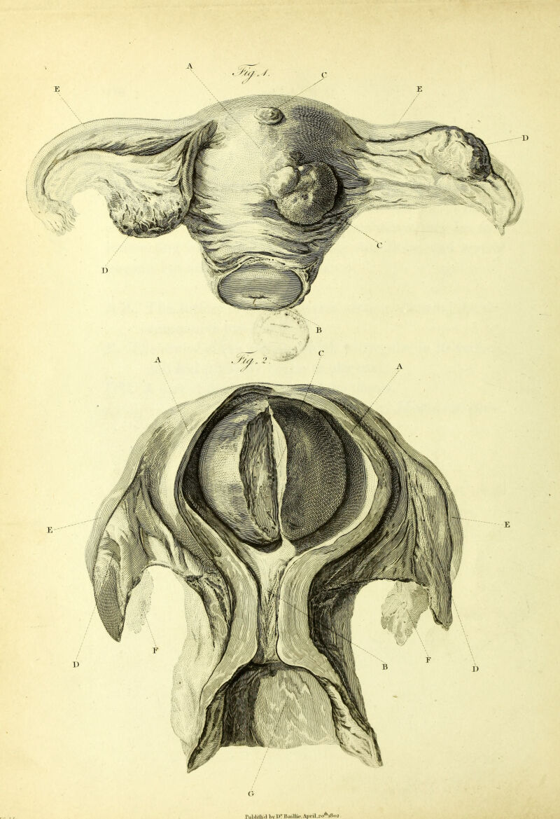 G i’ublillid bv D5 Bailin'. April.20^1802