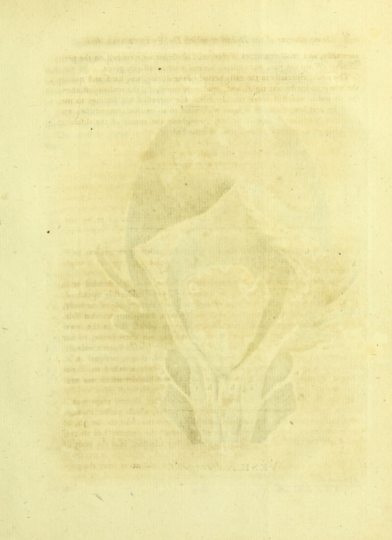 '< • • t y~f 1 ■ .fj ,i\ • F i\H' ■- il-Sf*; >o 3fri -no-:) >rl< ' < o .if • at , • ;v ’T{j ii?. fiO;'; ■ ■ ■ ; ♦ ■ { , i'< V: i . . ’ - >■/ 1 ’ '■> ' . ’ '