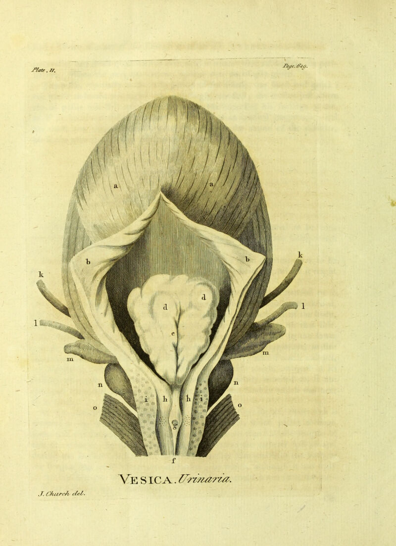 1 - Ve SIC A. ITrinarza. .7. ChurcA c/<el.