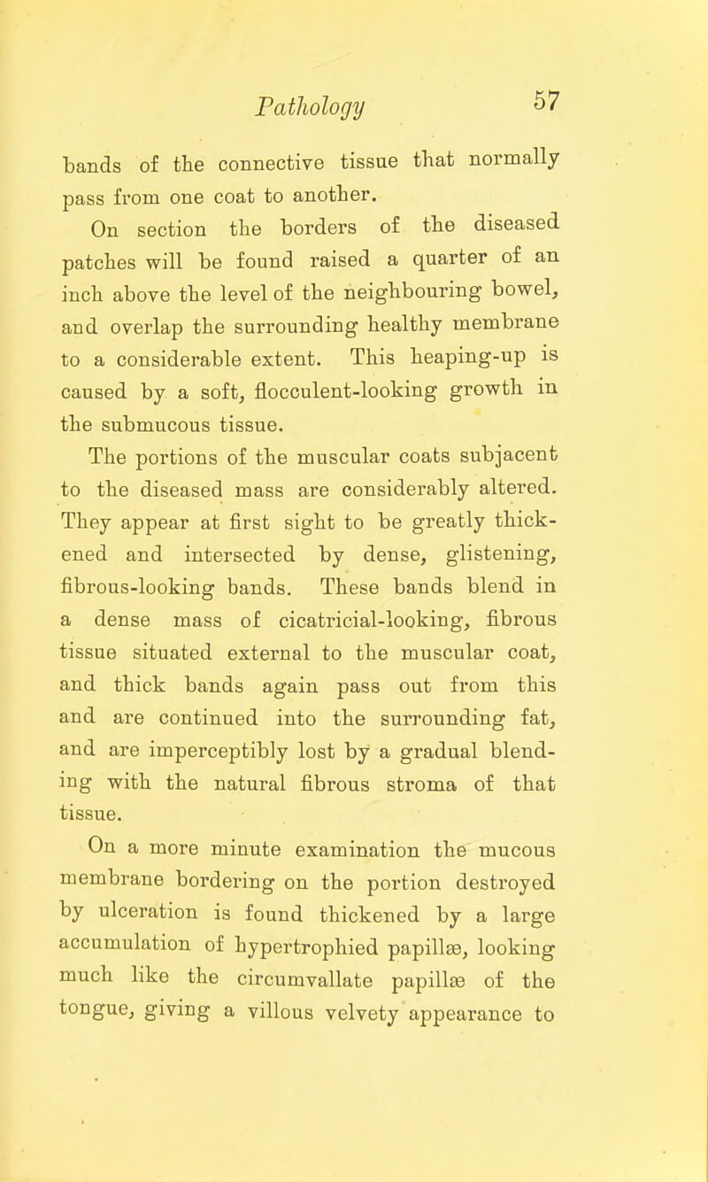 bands of the connective tissue that normally pass from one coat to another. On section the borders of the diseased patches will be found raised a quarter of an inch above the level of the neighbouring bowel, and overlap the surrounding healthy membrane to a considerable extent. This heaping-up is caused by a soft, flocculent-looking growth in the submucous tissue. The portions of the muscular coats subjacent to the diseased mass are considerably altered. They appear at first sight to be greatly thick- ened and intersected by dense, glistening, fibrous-looking bands. These bands blend in a dense mass of cicatricial-looking, fibrous tissue situated external to the muscular coat, and thick bands again pass out from this and are continued into the surrounding fat, and are imperceptibly lost by a gradual blend- ing with the natural fibrous stroma of that tissue. On a more minute examination the mucous membrane bordering on the portion destroyed by ulceration is found thickened by a large accumulation of hypertrophied papillse, looking much like the circumvallate papilla of the tongue, giving a villous velvety appearance to