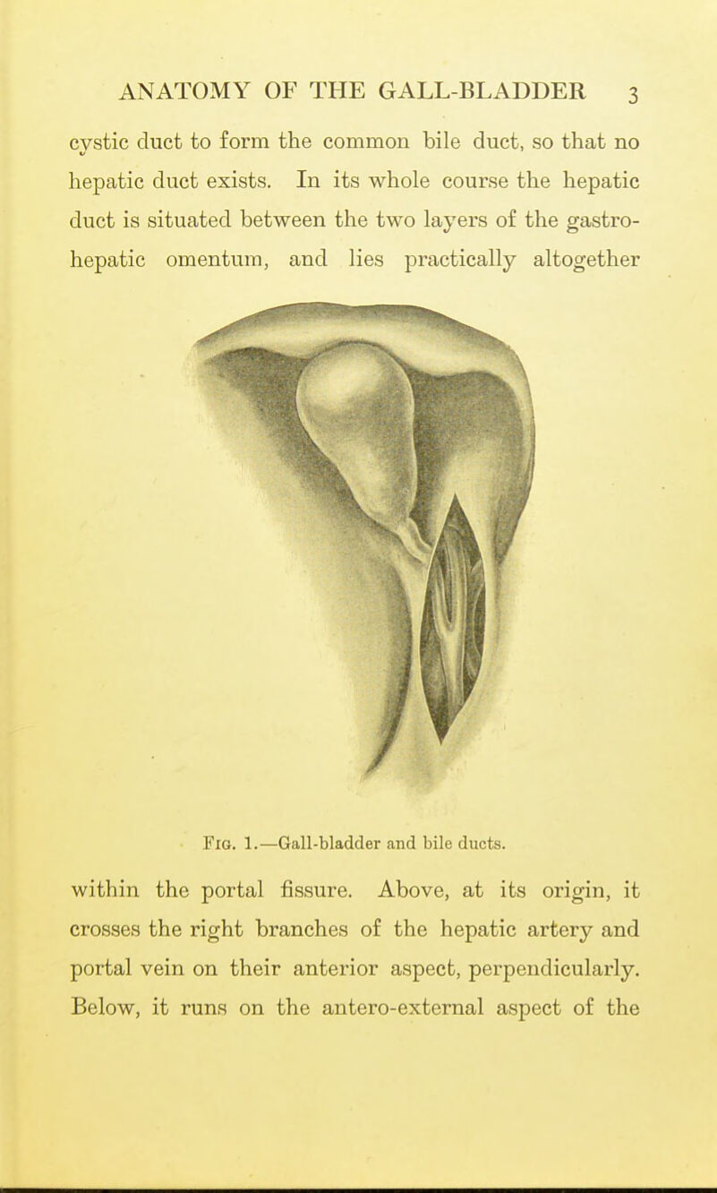 cystic duct to form the common bile duct, so that no hepatic duct exists. In its whole course the hepatic duct is situated between the two layers of the gastro- hepatic omentum, and lies practically altogether Fig. 1.—Gall-bladder and bile ducts. within the portal fissure. Above, at its origin, it crosses the right branches of the hepatic artery and portal vein on their anterior aspect, perpendicularly. Below, it runs on the antero-external aspect of the