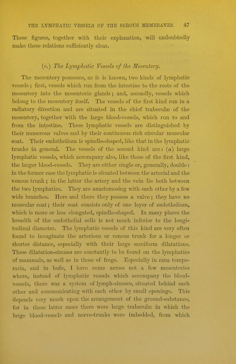 These figures, together .with their explanation, will undoubtedly make these relations sufficiently clear. (c.) The Lymphatic Vessels of the Mesentery. The raesentery possesses, as it is known, two kinds of lymphatic vessels ; fii*st, vessels which run from the intestine to the roots of the mesentery into the mesenteric glands; and, secondly, vessels which belong to the mesentery itself. The vessels of the first kind run in a radiatory direction and are situated in the chief trabeculse of the mesentery, together with the large blood-vessels, which run to and from the intestine. These lymphatic vessels are distingiushed by their numerous valves and by their continuous rich circular muscular coat. Their endothelium is spindle-shaped, like that in the lymphatic trimks in general. The vessels of the second kind are: (a) large lymphatic vessels, which accompany also, like those of the first kind, the larger blood-vessels. They are either single or, generally, double : in the former case the lymphatic is situated between the arterial and the venous trimk ; in the latter the artery and the vein lie both between the two lymphatics. They are anastomosing with each other by a few wide branches. Here and there they possess a valve; they have no muscular coat; their coat consists only of one layer of endothelium, which is more or less elongated, spindle-shaped. In many places the breadth of the endothelial cells is not much inferior to the longi- tudinal diameter. The lymphatic vessels of this kind are very often found to invaginate the arterious or venous tnmk for a longer or shorter distance, especially with their large sacciform dilatations. These dilatation-sinuses are constantly to be found on the lymphatics of mammals, as well as in those of frogs. Especially in rana tempo- raria, and in bufo, I liavc come across not a few mesenteries where, instead of lymphatic vessels which accompany the blood- vessels, there was a system of lymph-sinuses, situated behind eacli other and commimicating with each other by small openings. This depends very much upon the arrangement of the ground-substance, for in these latter cases there were large trabeculas in which tlie large blood-vessels and nerve-trunks were imbedded, from which