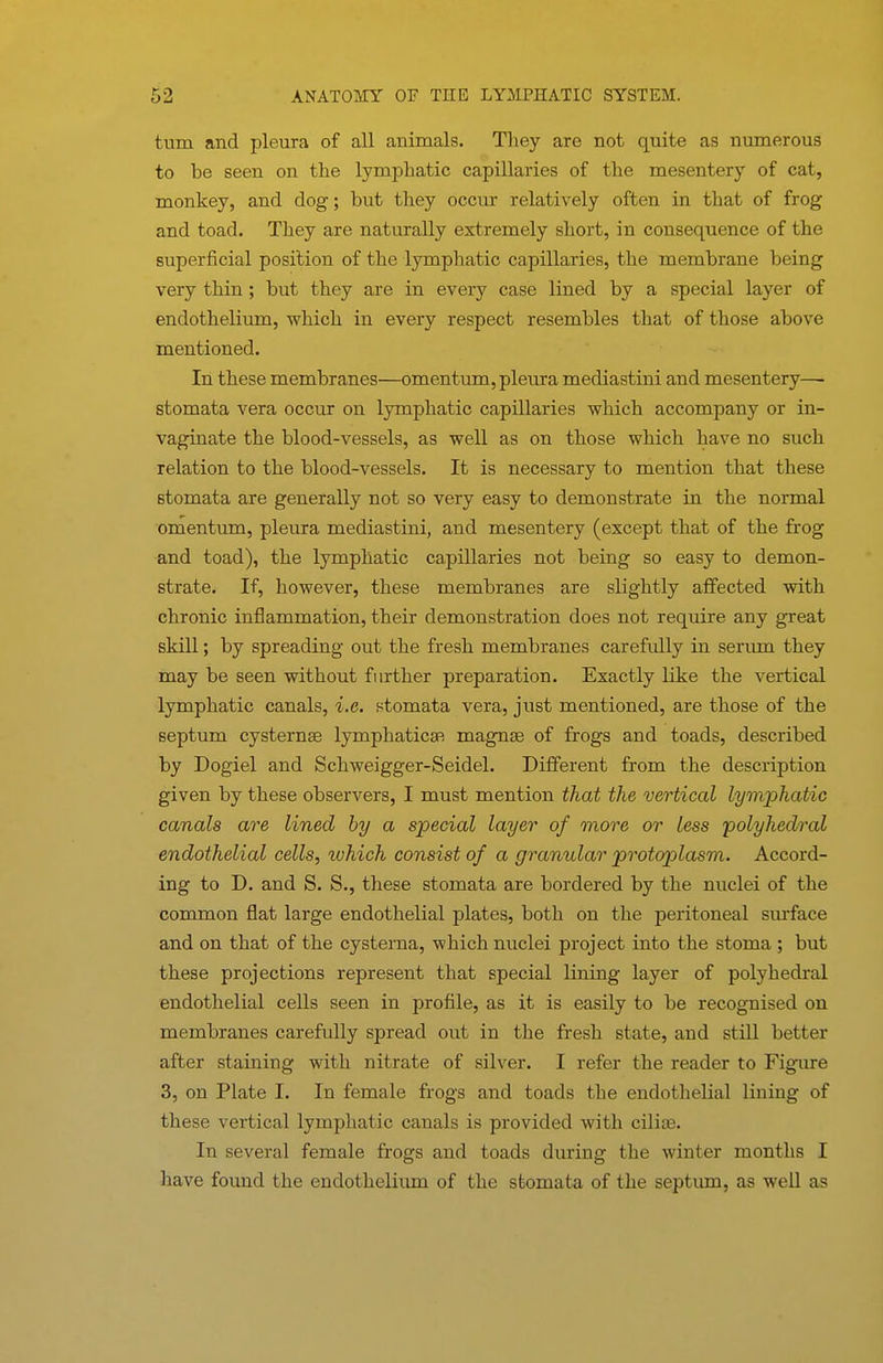 turn and pleura of all animals. They are not quite as numerous to be seen on the lymphatic capillaries of the mesentery of cat, monkey, and dog; but they occur relatively often in that of frog and toad. They are naturally extremely short, in consequence of the superficial position of the lymphatic capillaries, the membrane being very thin ; but they are in every case lined by a special layer of endothelium, which in every respect resembles that of those above mentioned. In these membranes—omentum, pleura mediastini and mesentery—■ stomata vera occur on lymphatic capillaries which accompany or in- vaginate the blood-vessels, as well as on those which have no such relation to the blood-vessels. It is necessary to mention that these stomata are generally not so very easy to demonstrate in the normal omentum, pleura mediastini, and mesentery (except that of the frog and toad), the lymphatic capillaries not being so easy to demon- strate. If, however, these membranes are slightly affected with chronic inflammation, their demonstration does not require any great skill; by spreading out the fresh membranes carefidly in serum they may be seen without further preparation. Exactly like the vertical lymphatic canals, i.e. stomata vera, just mentioned, are those of the septum cysternae lymphatica^ magnse of frogs and toads, described by Dogiel and Schweigger-Seidel. Different from the description given by these observers, I must mention that the vertical lymphatic canals are lined by a special layer of more or less polyhedral endothelial cells, which consist of a granular protoplasm. Accord- ing to D. and S. S., these stomata are bordered by the nuclei of the common flat large endothelial plates, both on the peritoneal surface and on that of the cystoma, which nuclei project into the stoma ; but these projections represent that special lining layer of polyhedral endothelial cells seen in profile, as it is easily to be recognised on membranes carefully spread out in the fresh state, and still better after staining with nitrate of silver. I refer the reader to Figiu-e 3, on Plate I. In female frogs and toads the endothelial lining of these vertical lymphatic canals is provided with cilite. In several female frogs and toads during the winter months I have found the endothelium of the stomata of the septum, as well as