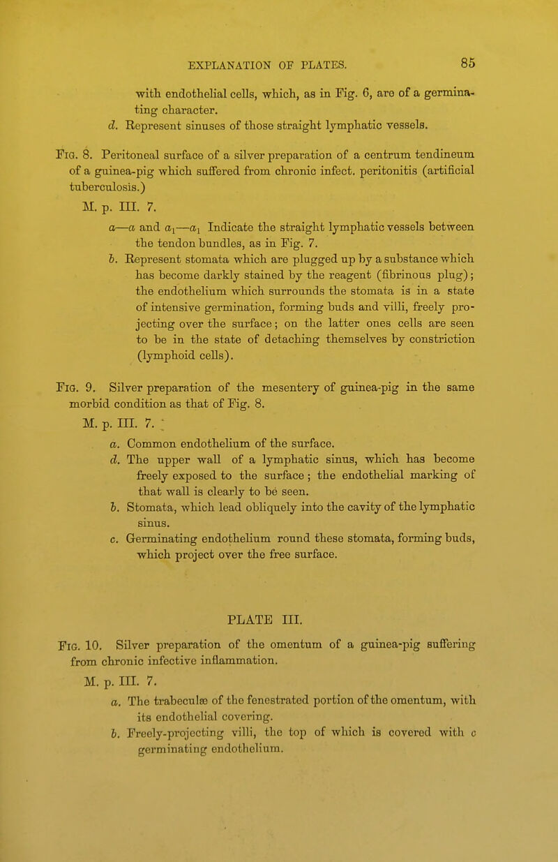 ■with endothelial cells, which, as in Fig. 6, are of a germina- ting character. d. Represent sinuses of those straight lymphatic vessels. Fig. 8. Peritoneal surface of a silver preparation of a centrum tendineum of a guinea-pig which suffered from chronic infect, peritonitis (artificial tuberculosis.) M. p. III. 7. a—a and a;—Indicate the straight lymphatic vessels between the tendon bundles, as in Fig. 7. h. Represent stomata which are plugged up by a substance which has become darkly stained by the reagent (fibrinous plug); the endothelium which surrounds the stomata is in a state of intensive germination, forming buds and villi, freely pro- jecting over the surface; on the latter ones cells are seen to be in the state of detaching themselves by constriction (lymphoid cells). FlQ. 9, Silver preparation of the mesentery of guinea-pig in the same morbid condition as that of Fig. 8. M. p. III. 7. : a. Common endothelium of the surface. d. The upper wall of a lymphatic sinus, which has become freely exposed to the surface; the endothelial marking of that wall is clearly to be seen. 5. Stomata, which lead obliquely into the cavity of the lymphatic sinus. c. Germinating endothelium round these stomata, forming buds, which project over the free surface. PLATE III. Fig. 10. Silver preparation of the omentum of a guinea-pig suffering from chronic infective inflammation. M. p. in. 7. a. The trabeculee of the fenestrated portion of the omentum, with its endothelial covering. 6. Freely-projecting villi, the top of which is covered with c germinating endothelium.