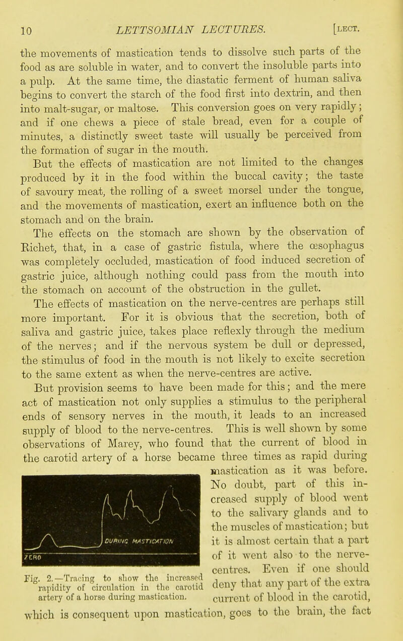 the movements of mastication tends to dissolve such parts of the food as are sohible in water, and to convert the insoluble parts into a pulp. At the same time, the diastatic ferment of human saliva begins to convert the starch of the food first into dextrin, and then into malt-sugar, or maltose. This conversion goes on very rapidly; and if one chews a piece of stale bread, even for a couple of minutes, a distinctly sweet taste wiU usually be perceived from the formation of sugar in the mouth. But the effects of mastication are not limited to the changes produced by it in the food within the buccal cavity; the taste of savoury meat, the rolling of a sweet morsel under the tongue, and the movements of mastication, exert an influence both on the stomach and on the brain. The effects on the stomach are shown by the observation of Kichet, that, in a case of gastric fistula, where the oesophagus was completely occluded, mastication of food induced secretion of gastric juice, although notlung could pass from the mouth into the stomach on account of the obstruction in the gullet. The effects of mastication on the nerve-centres are perhaps still more important. For it is obvious that the secretion, both of saliva and gastric juice, takes place reflexly through the medium of the nerves; and if the nervous system be dull or depressed, the stimulus of food in the mouth is not likely to excite secretion to the same extent as when the nerve-centres are active. But provision seems to have been made for this; and the mere act of mastication not only supplies a stimulus to the peripheral ends of sensory nerves in the mouth, it leads to an increased supply of blood to the nerve-centres. This is well shown by some observations of Marey, who found that the current of blood in the carotid artery of a horse became three times as rapid during Mastication as it was before. No doubt, part of this in- creased supply of blood went to the salivary glands and to the muscles of mastication; but it is almost certain that a part of it went also to the nerve- centres. Even if one should rift. 2.—Tracing to sliow the increased , xi 4. r>-i.-+,.Q Rapidity of drculation in the carotid deny that any part of the extia artery of a horse during mastication. current of blood in the carotid, which is consequent upon mastication, goes to the brain, the fact . 1 DUPIHG MASTICATION ZERO