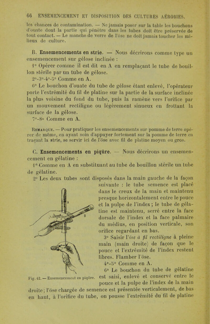 les chances de contamination. — Ne jamais poser sur la table les bouchons d'ouate dont la partie qui pénètre dans les tubes doit être préservée de tout contact. — Le manche de verre de l'use ne doit jamais toucher les rai- lieux de culture. B. Ensemencements en strie. — Nous décrirons comme type un ensemencement sur gélose inclinée : 1° Opérer comme il est dit en A en remplaçant le tube de bouil- lon stérile par un tube de gélose. 20.30.40.r-0 Comme en A. 6° Le bouchon d'ouate du tube de gélose étant enlevé, l'opérateur porte l'extrémité du fil de platine sur la partie de la surface inclinée la plus voisine du fond du tube, puis la ramène vers l'orifice par un mouvement rectiligne ou légèrement sinueux en frottant la surface de la gélose. 7°-8° Comme en A. Remarque. — Pour pratiquer les ensemencements sur pomme de terre opé- rer de même, en ayant soin d'appuyer fortement sur la pomme de terre en traçant la strie, se servir ici de l'ose avec fil de platine moyen ou gros. C. Ensemencements en piqûre. — Nous décrirons un ensemen- cement en gélatine : 1° Comme en A en substituant au tube de bouillon stérile un tube de gélatine. 2° Les deux tubes sont disposés dans la main gauche de la façon suivante : le tube semence est placé dans le creux de la main et maintenu presque horizontalement entre le pouce et la pulpe de l'index ; le tube de géla- tine est maintenu, serré entre la face dorsale de l'index et la face palmaire du médius, en position verticale, son orifice regardant en bas. 3° Saisir l'ose à fil rectiligne à pleine main (main droite) de façon que le pouce et l'extrémité de l'index restent libres. Flamber l'ose. 4°-5° Comme en A. 6° Le bouchon du tube de gélatine est saisi, enlevé et conservé entre le pouce et la pulpe de l'index de La main droite; l'ose chargée de semence est présentée verticalement, de bas en haut, à l'orifice du tube, on pousse l'extrémité du fil de platine Fig.42. — Ensemencement en piqûre.