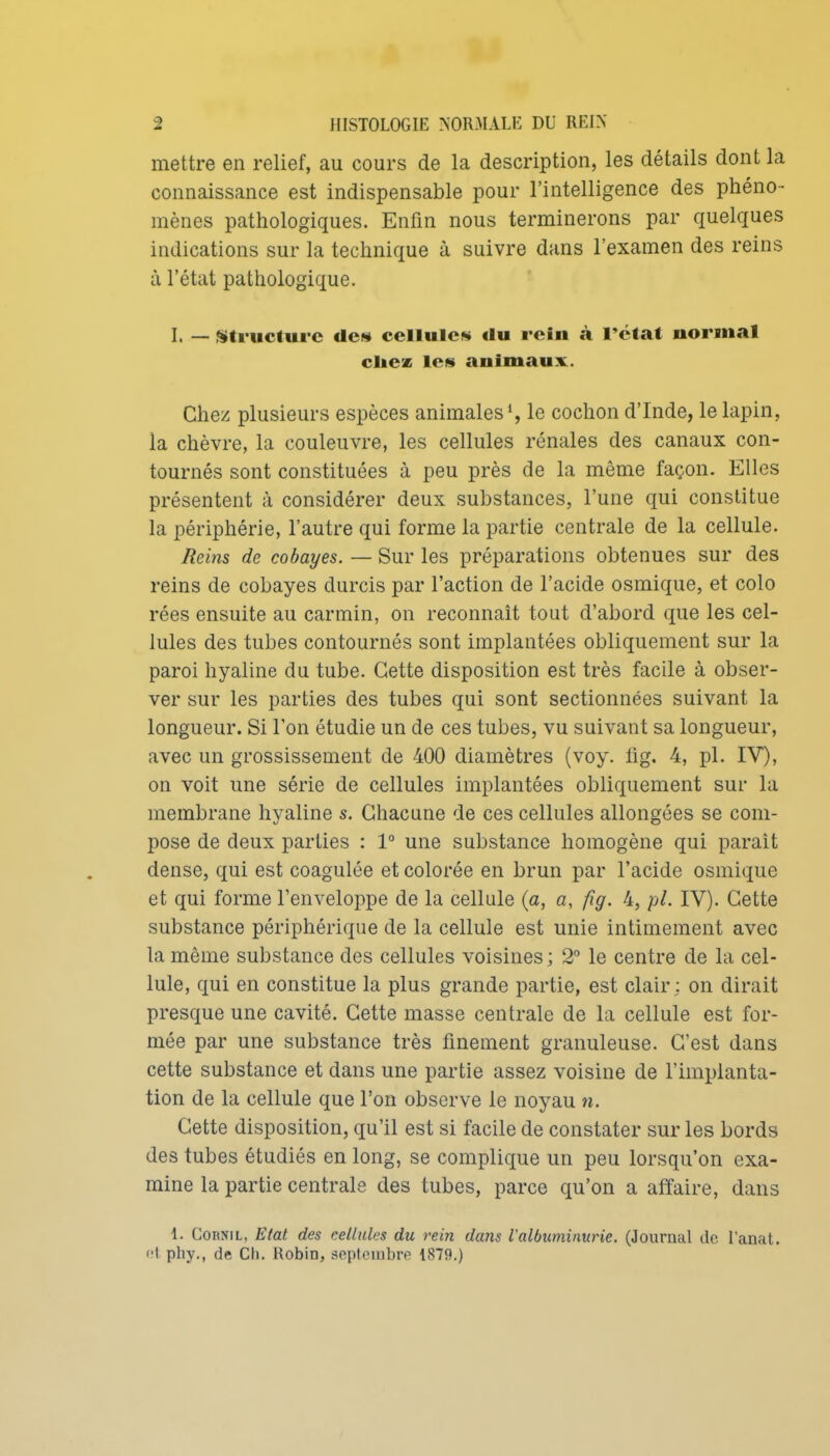 mettre en relief, au cours de la description, les détails dont la connaissance est indispensable pour l'intelligence des phéno- mènes pathologiques. Enfin nous terminerons par quelques indications sur la technique à suivre dans l'examen des reins à l'état pathologique. I. — (Structure de» cellules «lu rein à l'état normal citez les animaux. Chez plusieurs espèces animales S le cochon d'Inde, le lapin, la chèvre, la couleuvre, les cellules rénales des canaux con- tournés sont constituées à peu près de la même façon. Elles présentent à considérer deux substances, l'une qui constitue la périphérie, l'autre qui forme la partie centrale de la cellule. Beins de cobayes. — Sur les préparations obtenues sur des reins de cobayes durcis par l'action de l'acide osmique, et colo rées ensuite au carmin, on reconnaît tout d'abord que les cel- lules des tubes contournés sont implantées obliquement sur la paroi hyaline du tube. Cette disposition est très facile à obser- ver sur les parties des tubes qui sont sectionnées suivant la longueur. Si l'on étudie un de ces tubes, vu suivant sa longueur, avec un grossissement de 400 diamètres (voy. lig. 4, pl. IV), on voit une série de cellules implantées obliquement sur la membrane hyaline s. Chacune de ces cellules allongées se com- pose de deux parties : 1° une substance homogène qui paraît dense, qui est coagulée et colorée en brun par l'acide osmique et qui forme l'enveloppe de la cellule (a, a, fig. 4, pl. IV). Cette substance périphérique de la cellule est unie intimement avec la même substance des cellules voisines ; 2° le centre de la cel- lule, qui en constitue la plus grande partie, est clair ; on dirait presque une cavité. Cette masse centrale de la cellule est for- mée par une substance très finement granuleuse. C'est dans cette substance et dans une partie assez voisine de l'implanta- tion de la cellule que l'on observe le noyau n. Cette disposition, qu'il est si facile de constater sur les bords des tubes étudiés en long, se complique un peu lorsqu'on exa- mine la partie centrale des tubes, parce qu'on a affaire, dans 1. CoRNiL, Etat des cellules du rein dans l'albuminurie. (Journal de l'anat. f'I phy., de Ch. Robin, septembre 1879.)